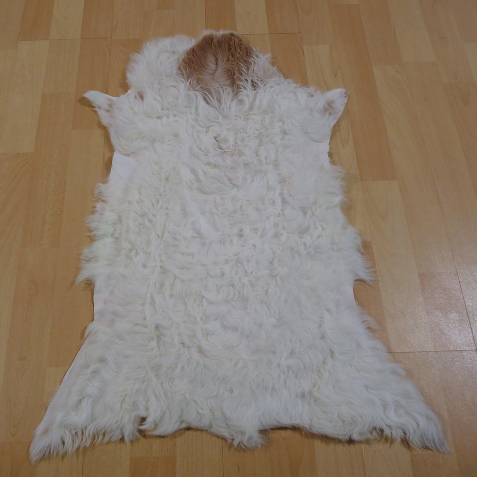 Gotlandfell weiß - braun 75x55cm #12950