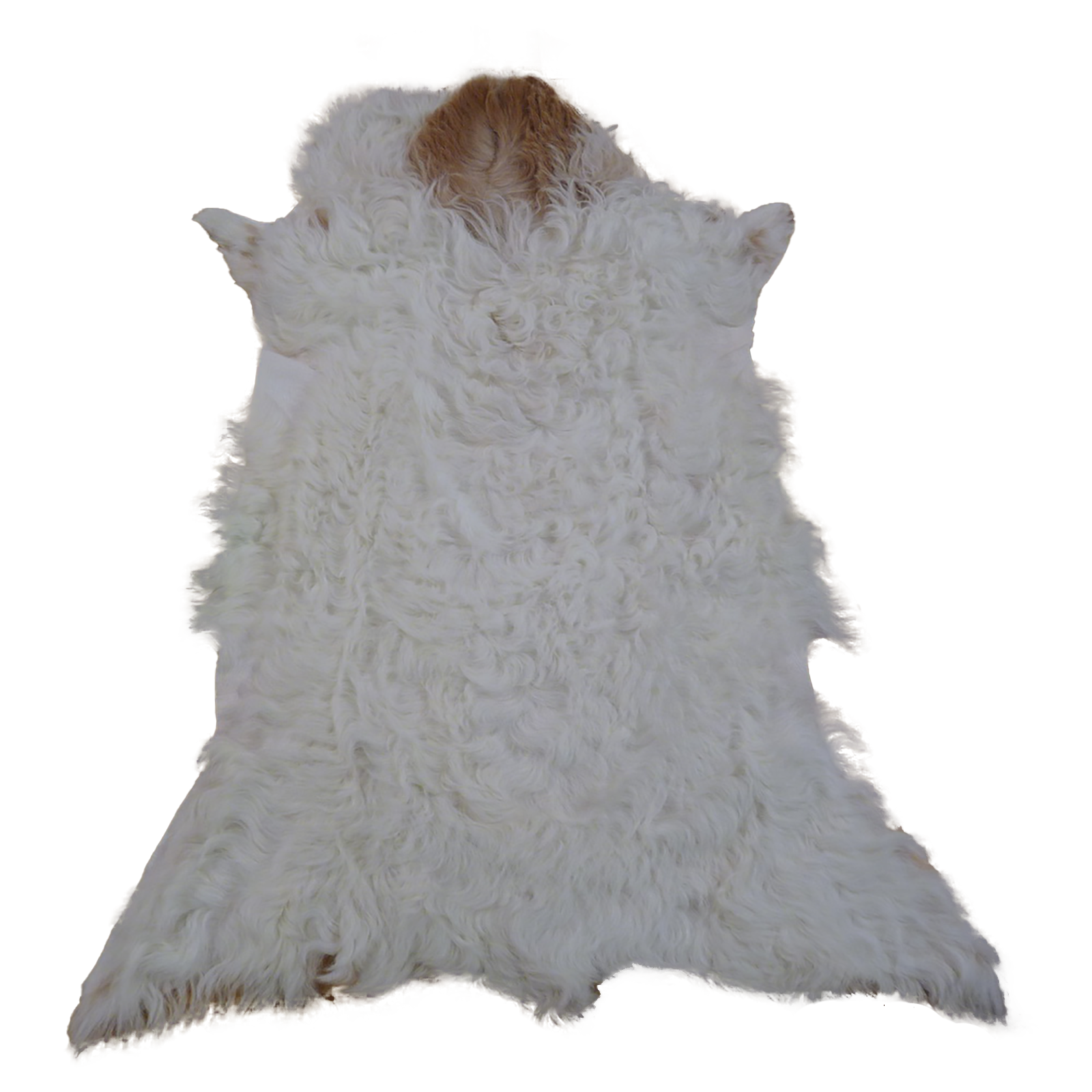 Gotlandfell weiß - braun 75x55cm #12950
