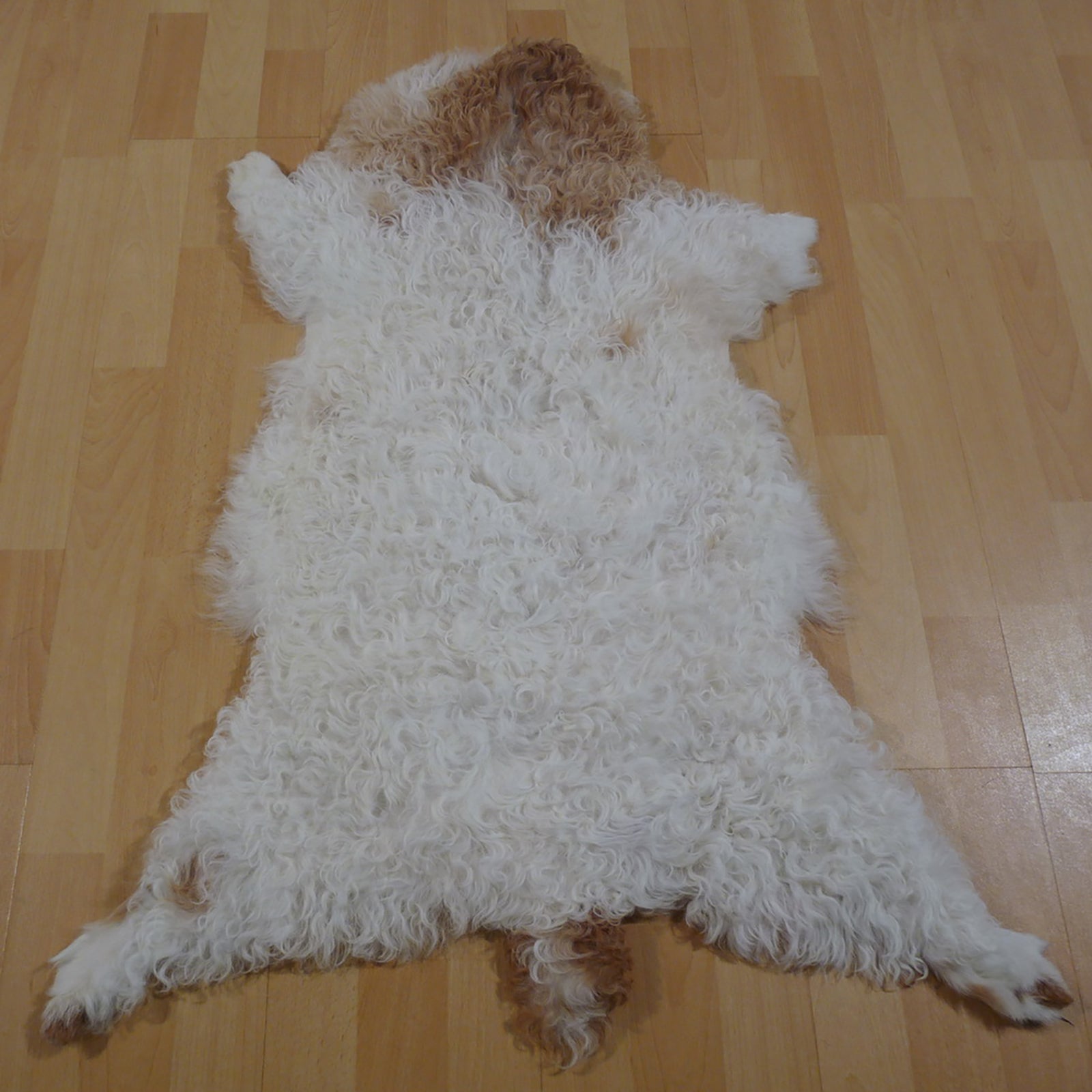 Gotlandfell weiß - braun 90x70cm #12953