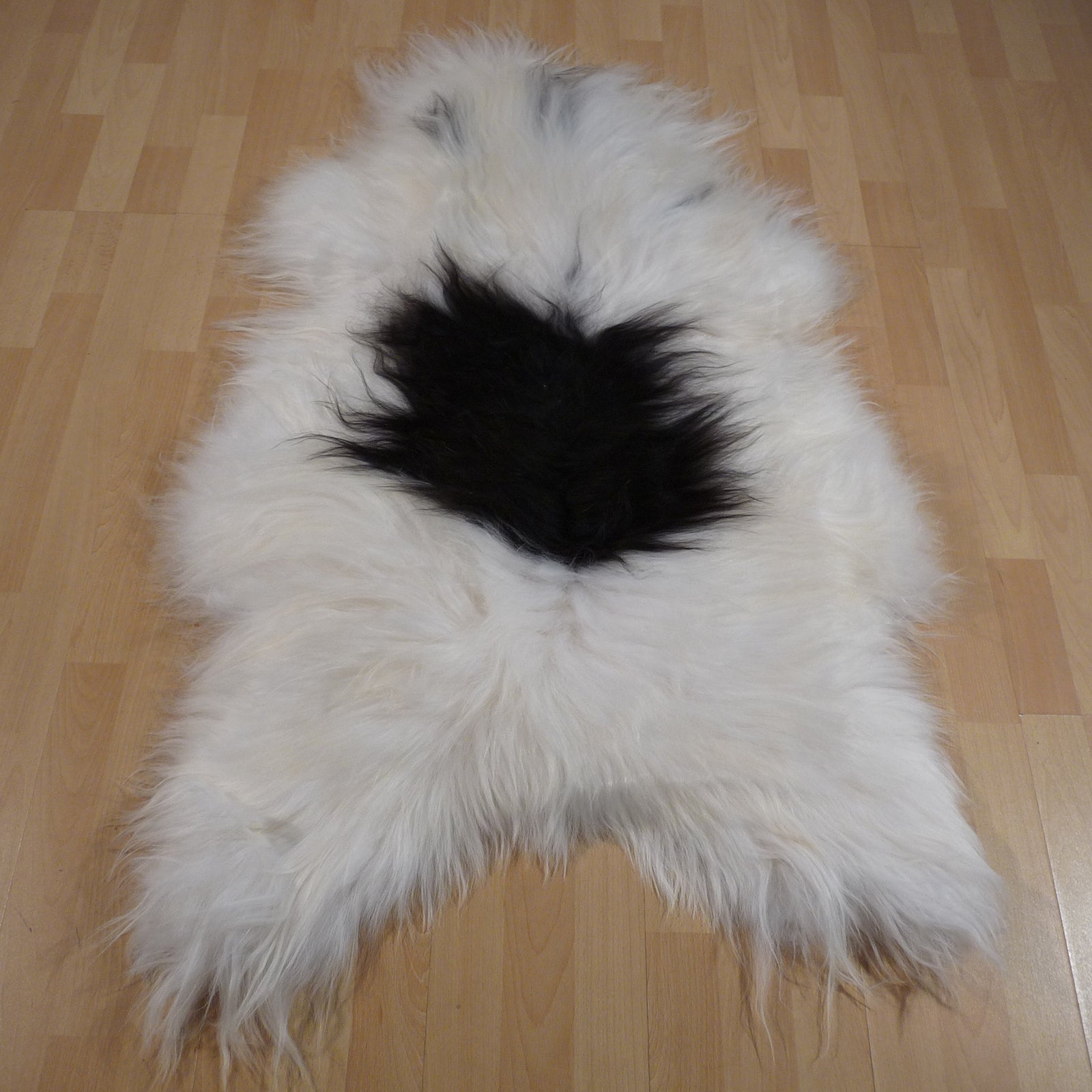 Exklusives Unikat Islandschaffell weiß - schwarz 140x90cm #14573