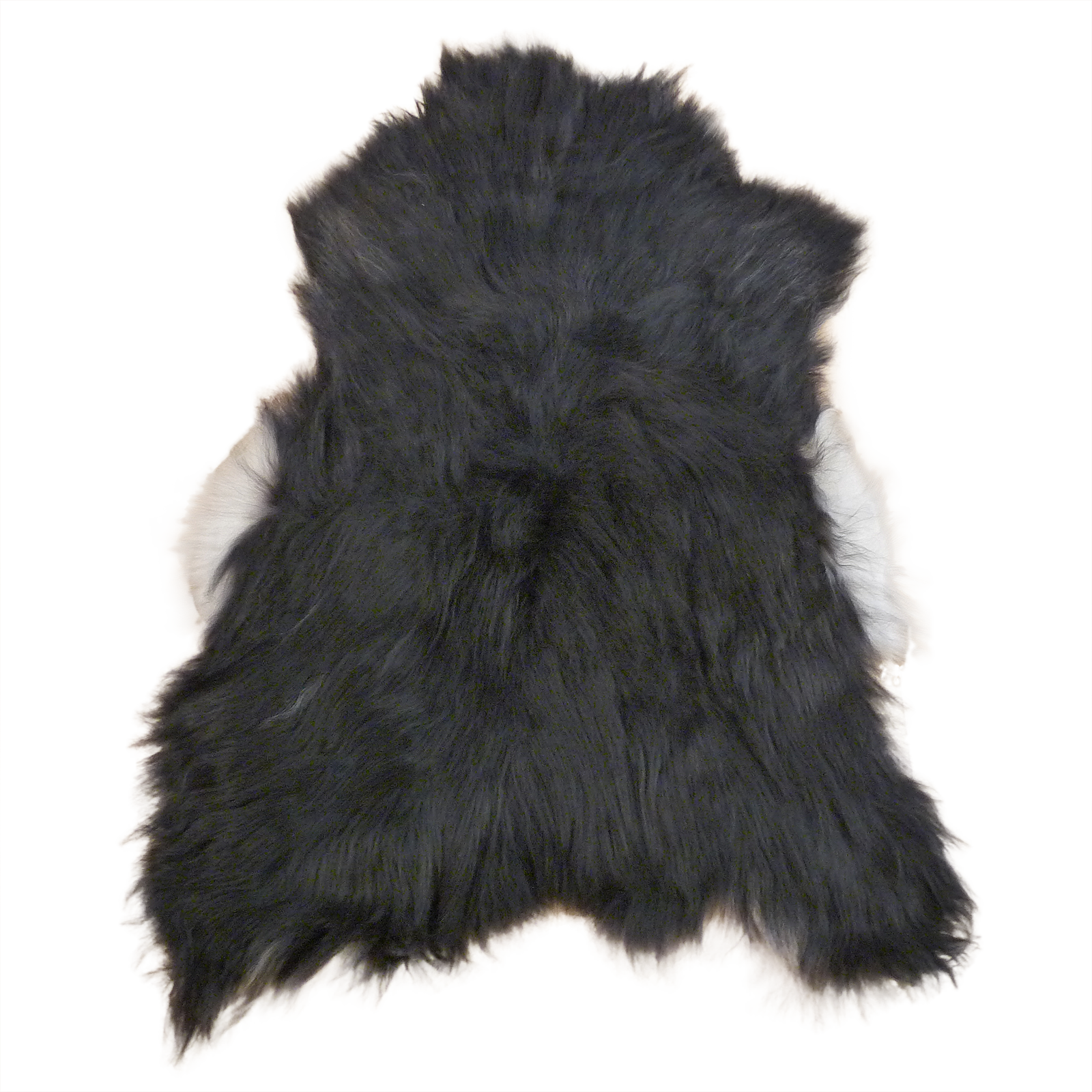 Exklusives Unikat Islandschaffell schwarz - weiß 140x95cm #14785