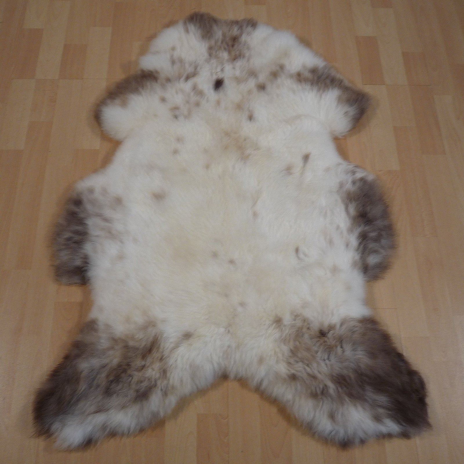 Exklusives Unikat Schaffell weiß - grau - braun 120x85cm #14817