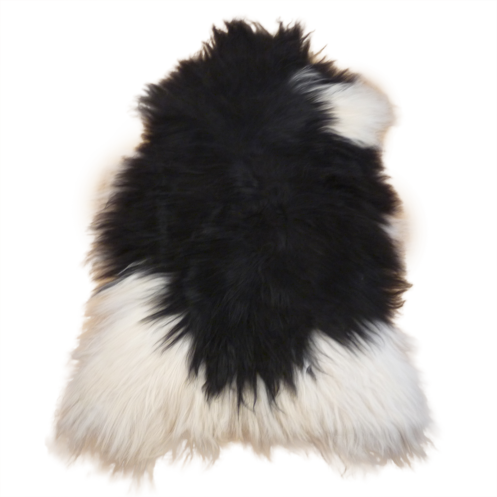 Exklusives Unikat Islandschaffell schwarz - weiß 140x90cm #14893