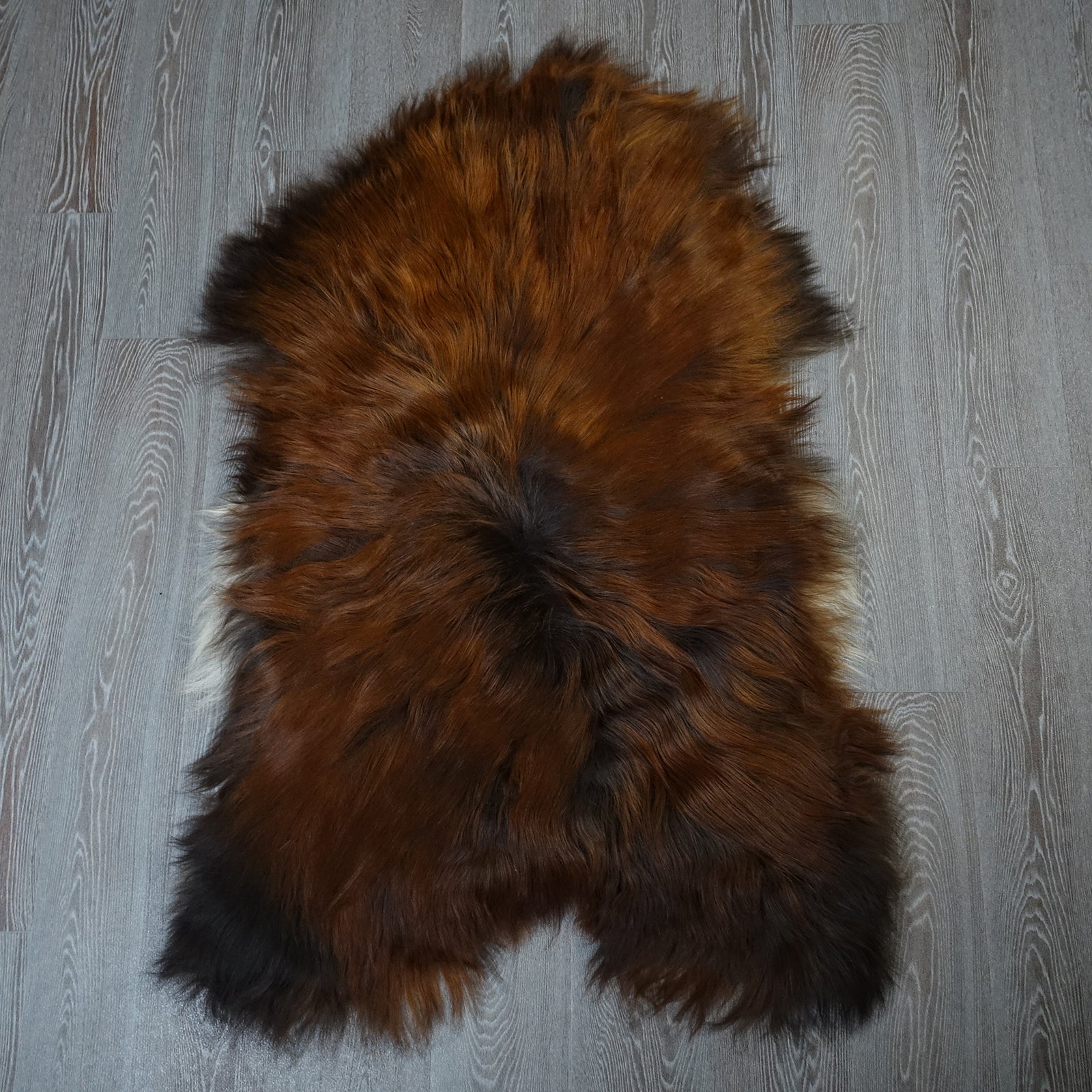 Exklusives Unikat Islandschaffell schwarz - blond - weiß 140x85cm #15958