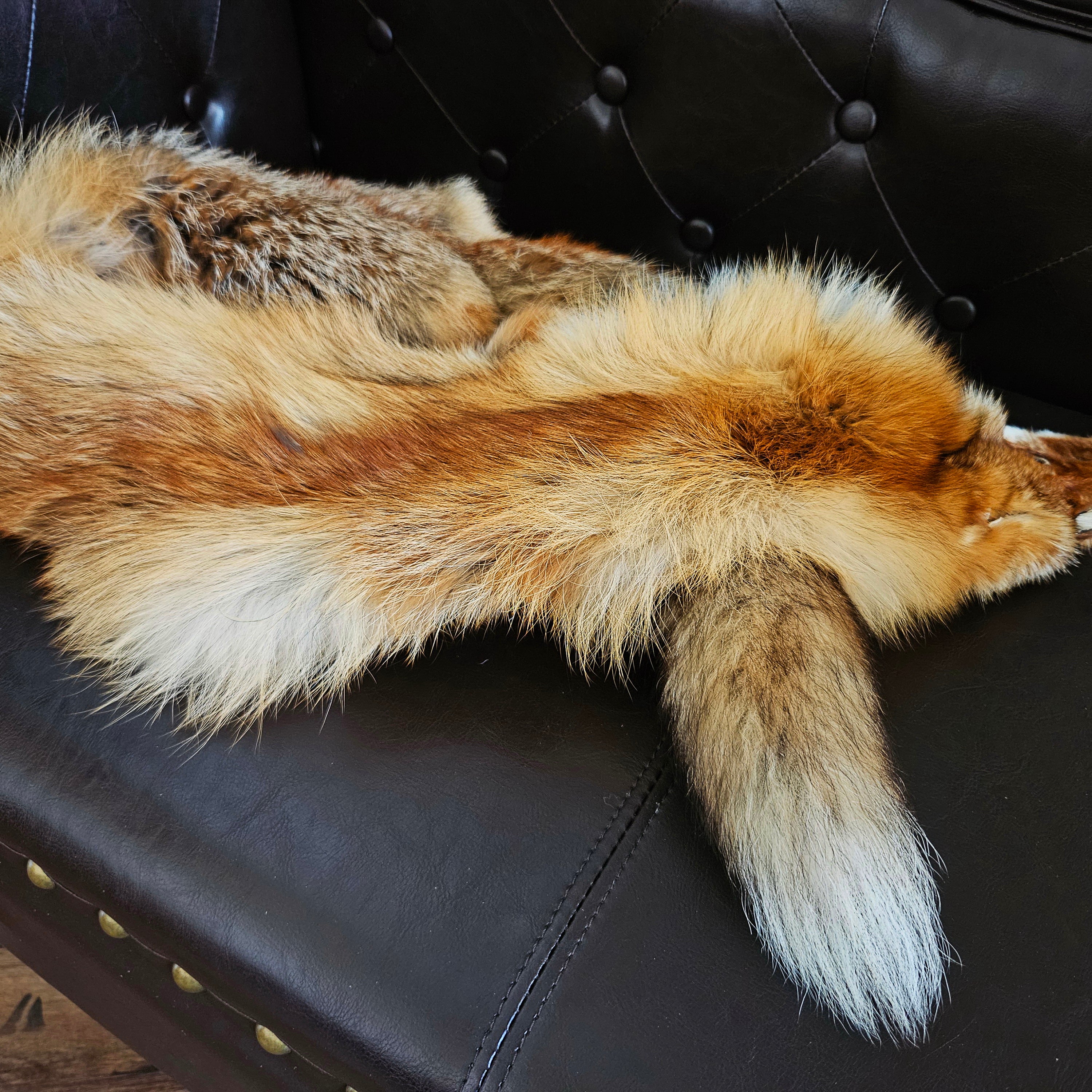 Echtes Rotfuchsfell Wildfell Fell vom europäischen Rotfuchs