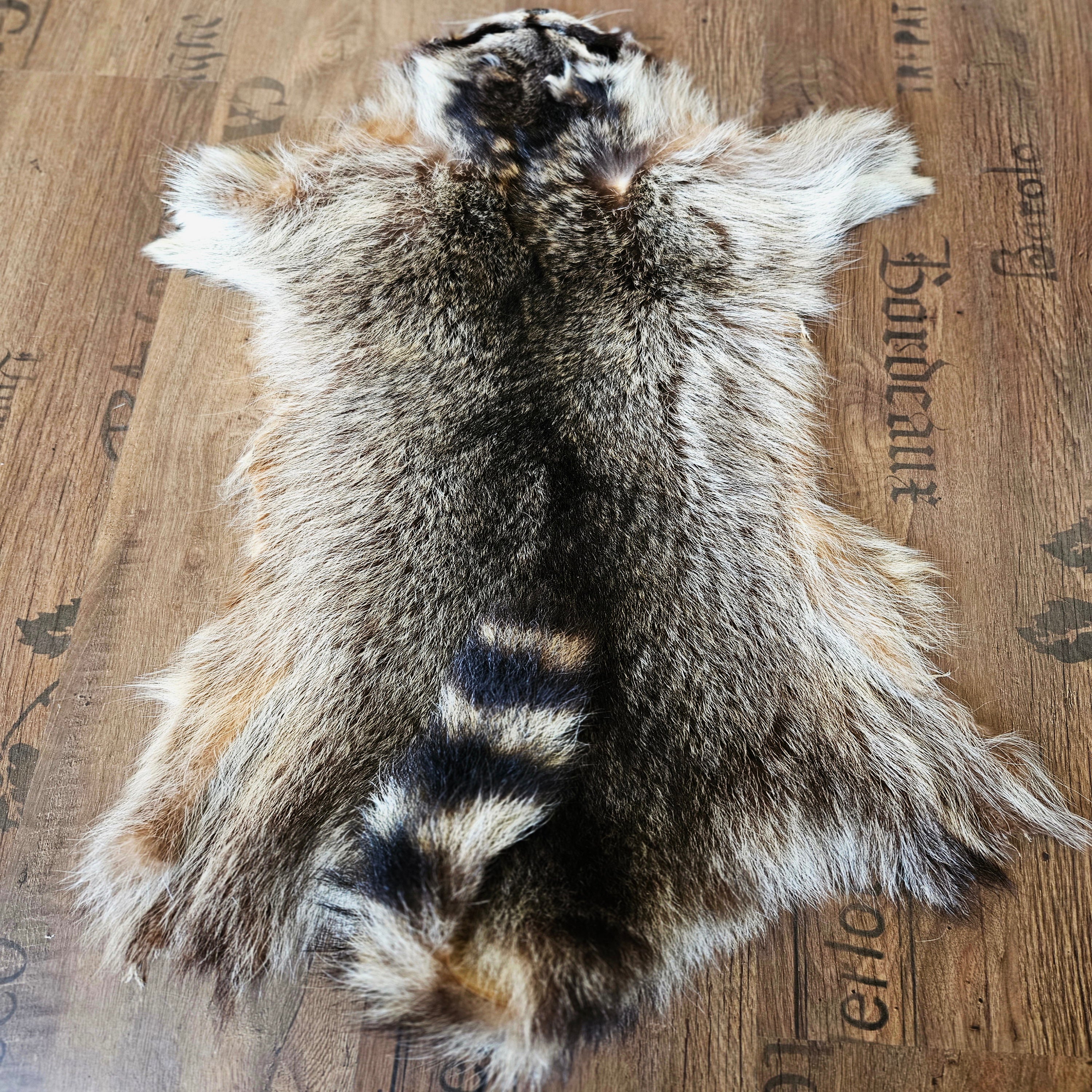 Echtes Waschbärfell Wildfell Fell vom Wäschbären