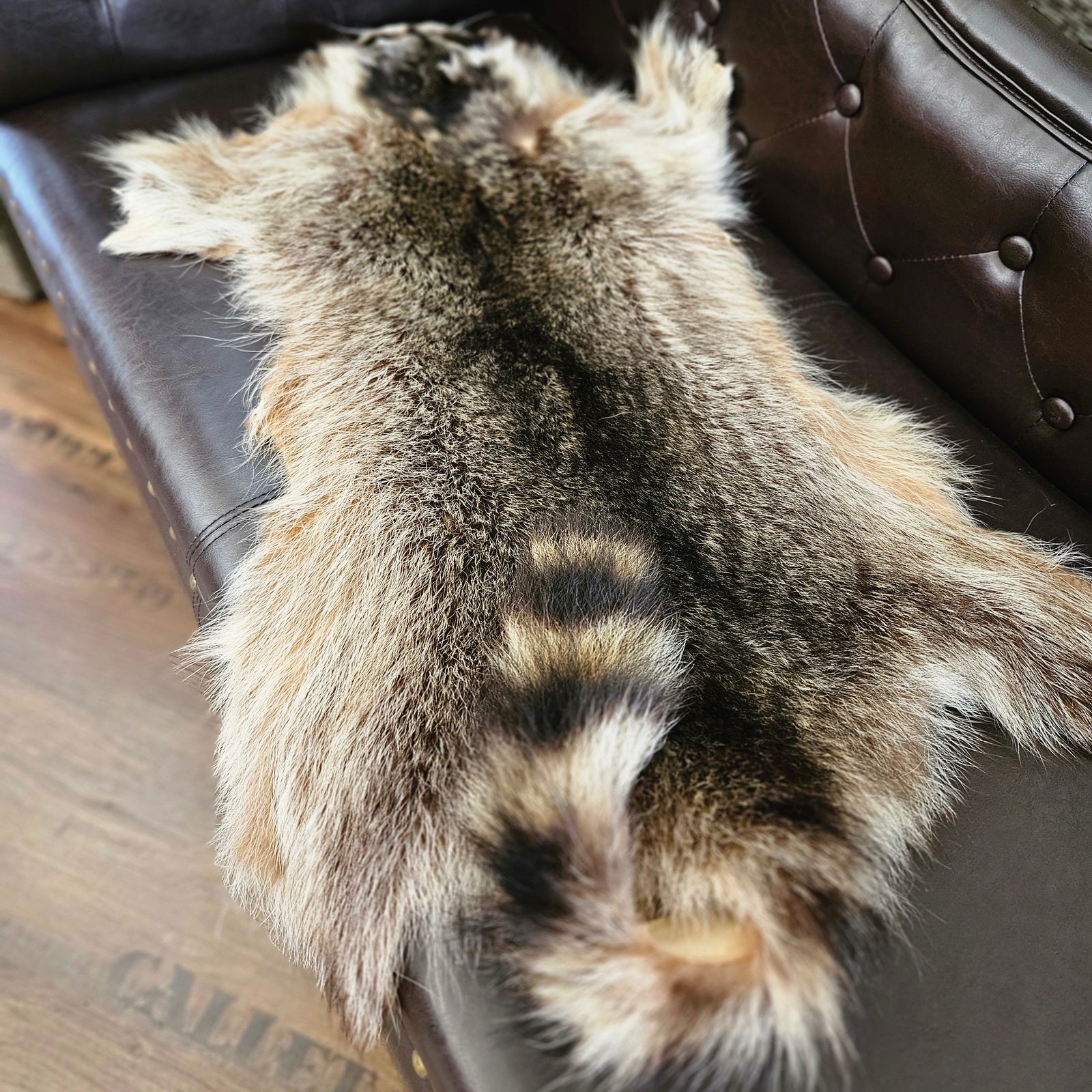 Echtes Waschbärfell Wildfell Fell vom Wäschbären
