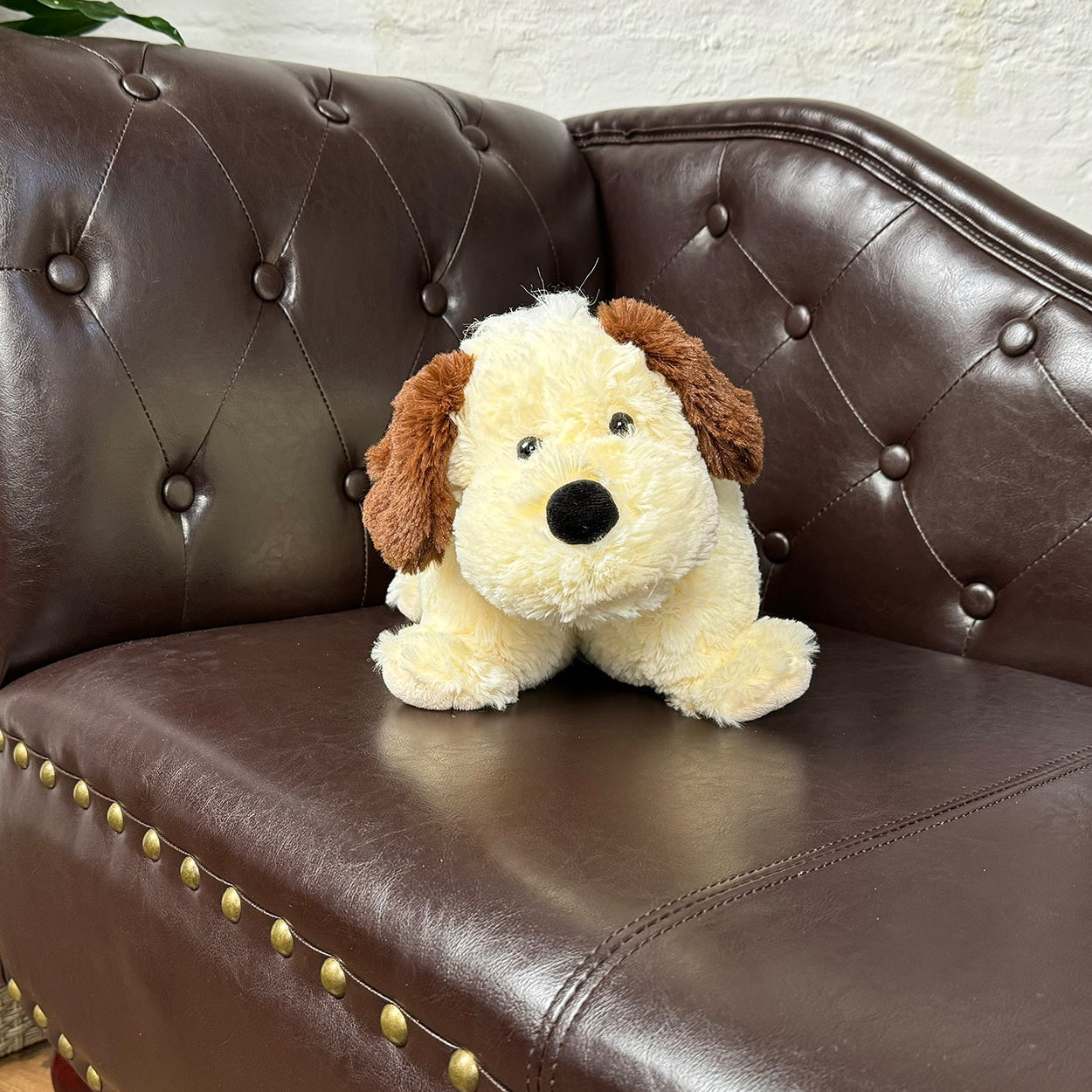 2in1 Kuschelkissen und Kuscheltier Hund groß 46cm