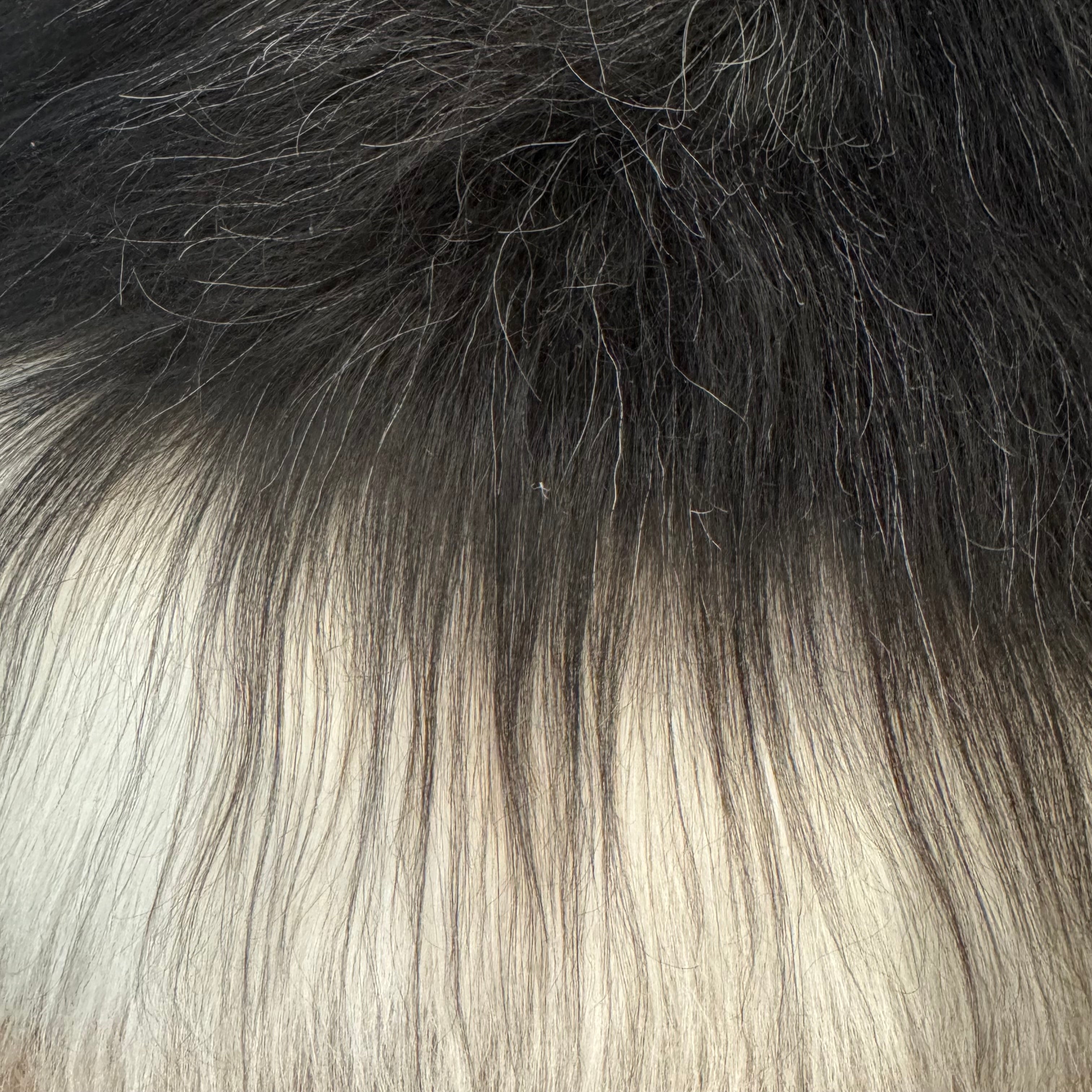 MEIWITT® Islandschaffell schwarz - weiss