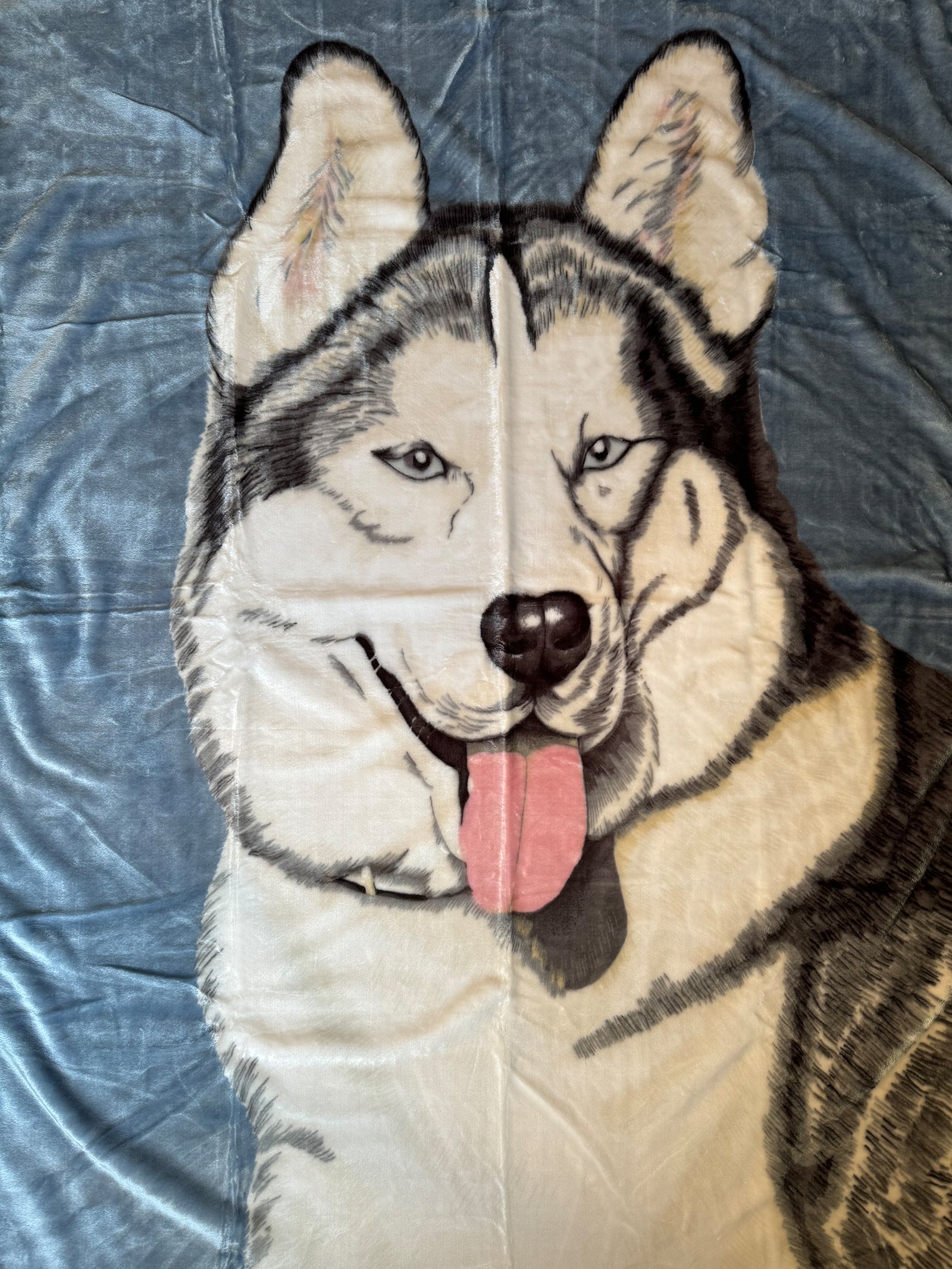 Kuscheldecke Tagesdecke Wohndecke Tiermotiv 1 Husky blau