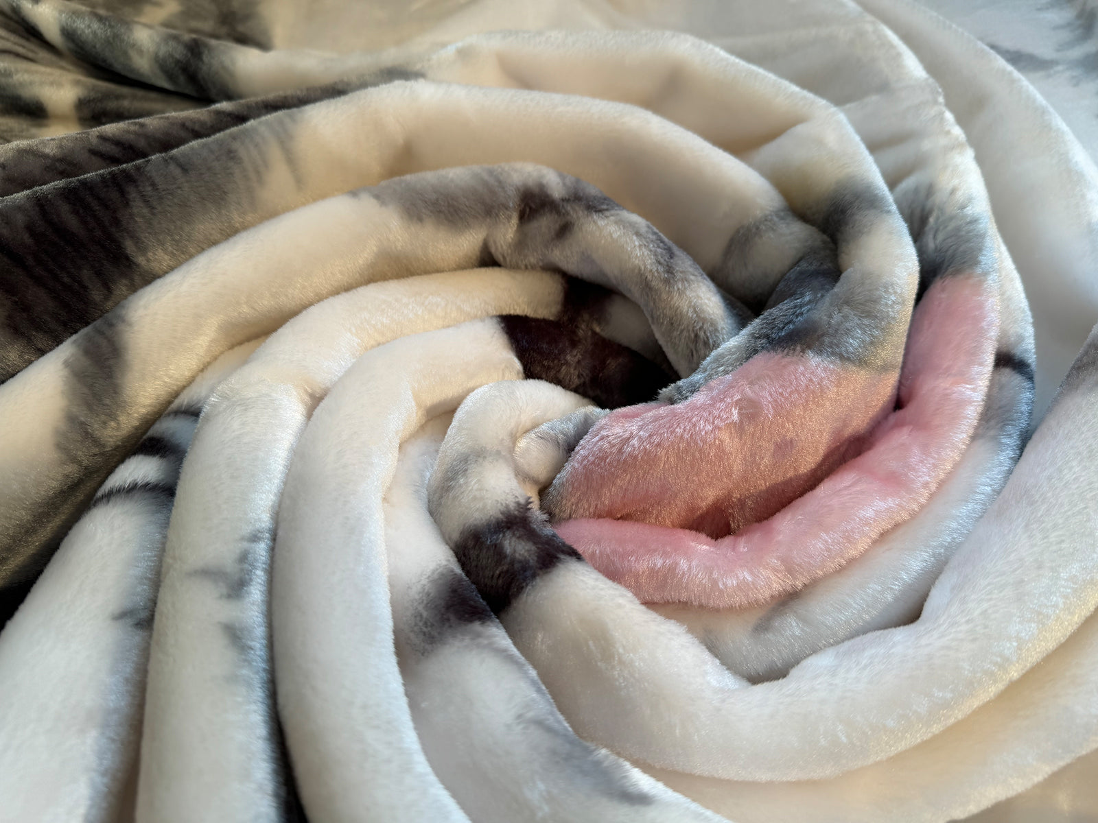Kuscheldecke Tagesdecke Wohndecke Tiermotiv 1 Husky blau