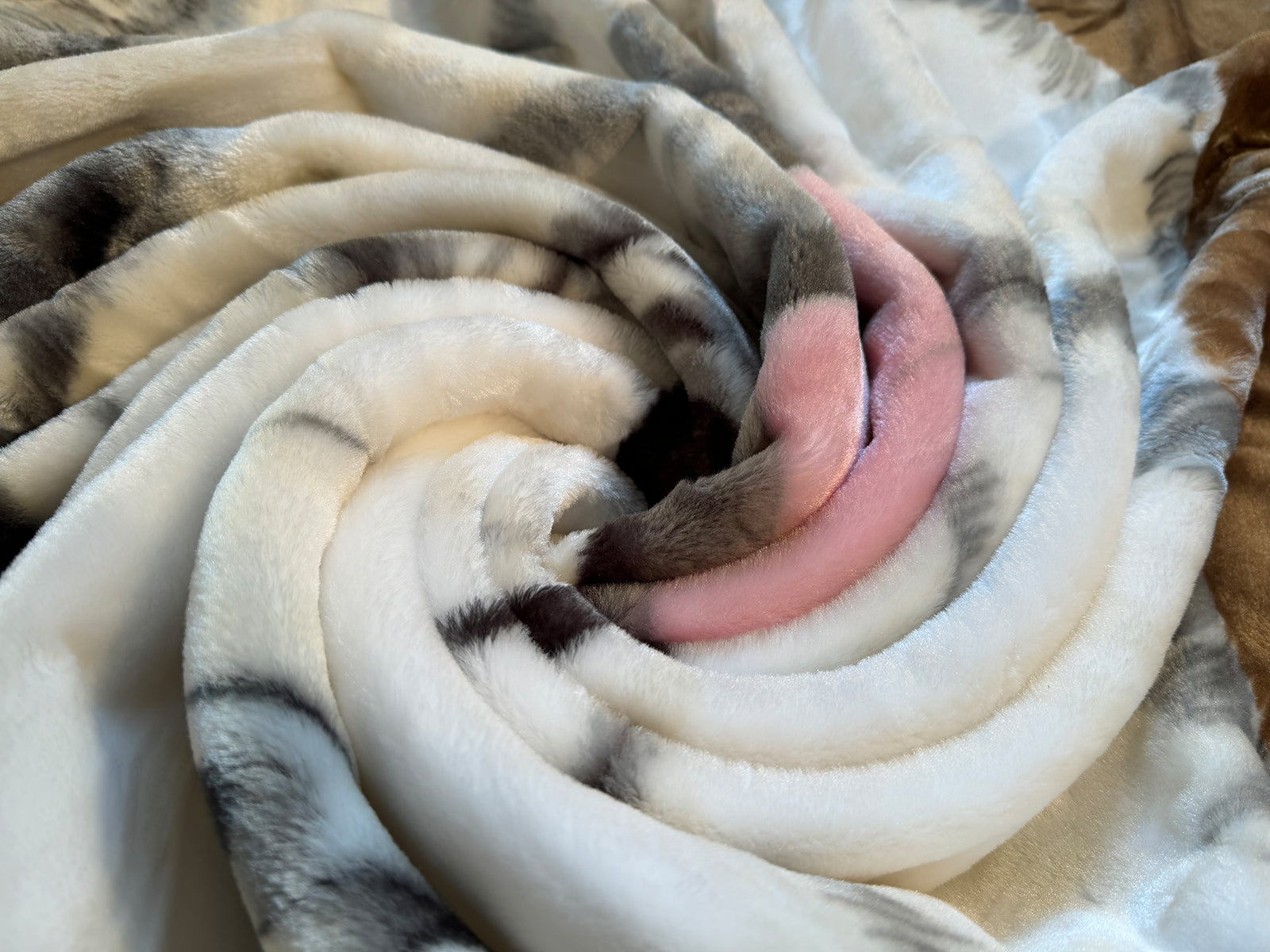 Kuscheldecke Tagesdecke Wohndecke Tiermotiv 1 Husky braun