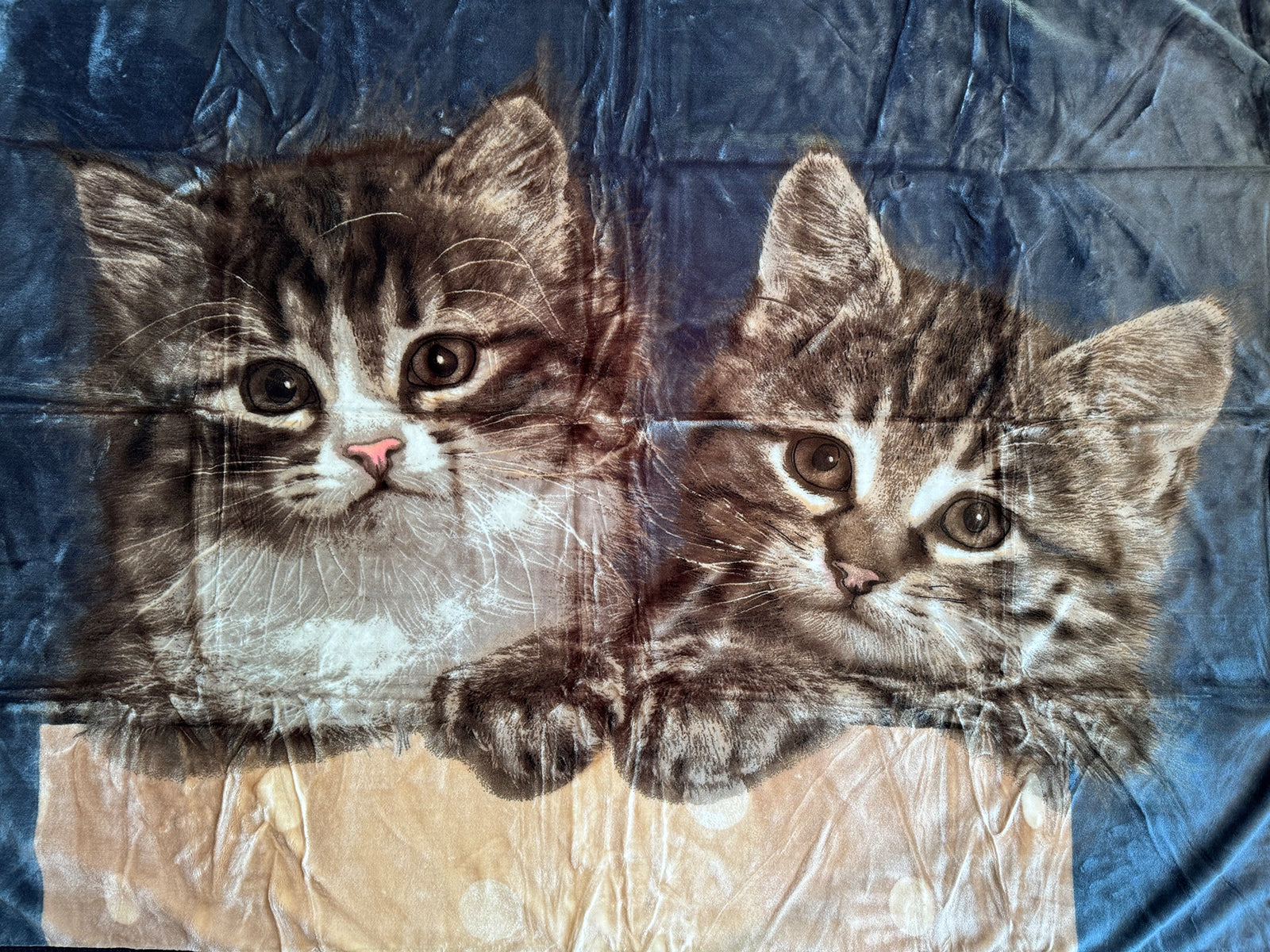 Kuscheldecke Tagesdecke Wohndecke Tiermotiv 2 Katzen blau