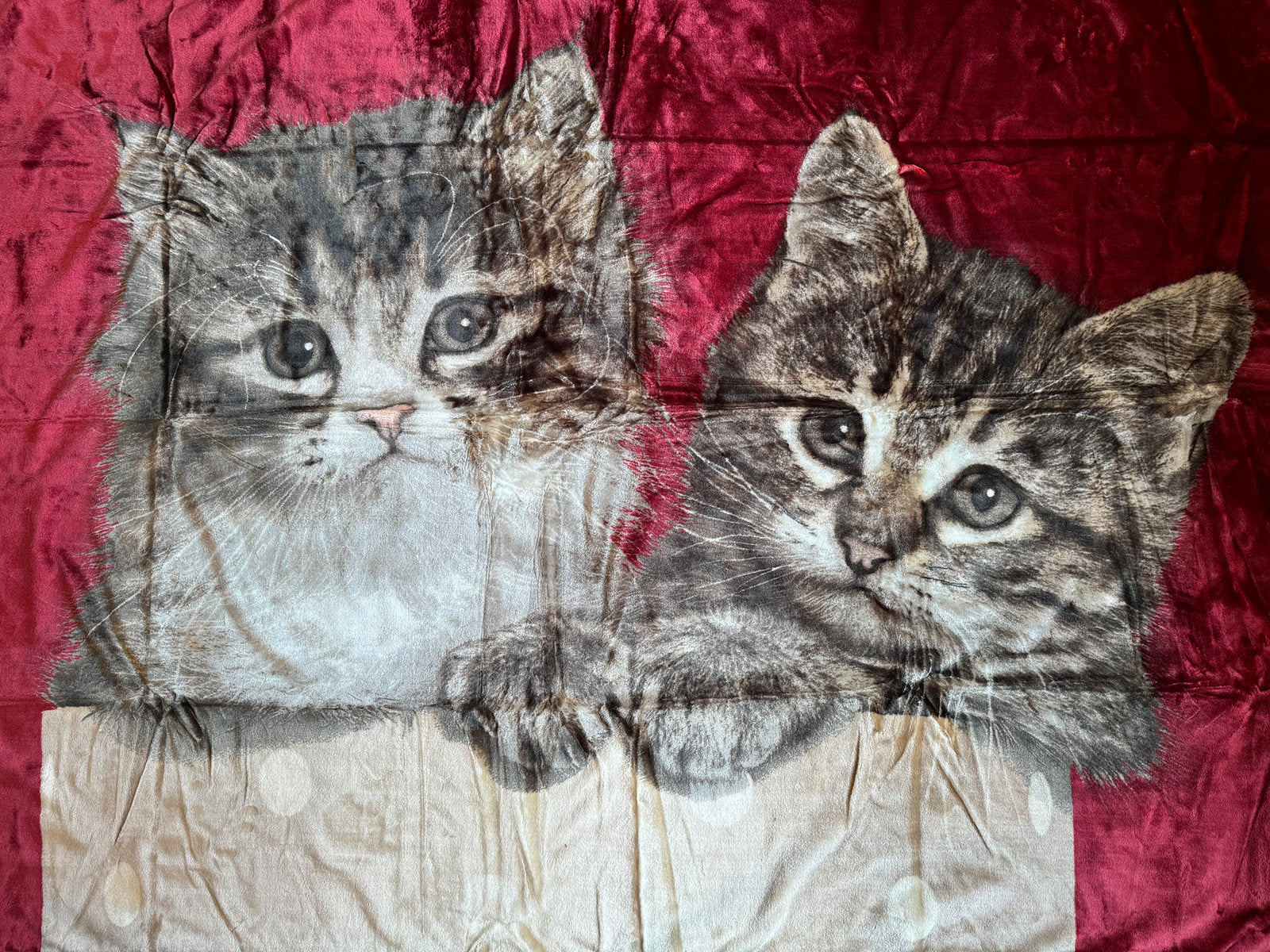 Kuscheldecke Tagesdecke Wohndecke Tiermotiv 2 Katzen rot