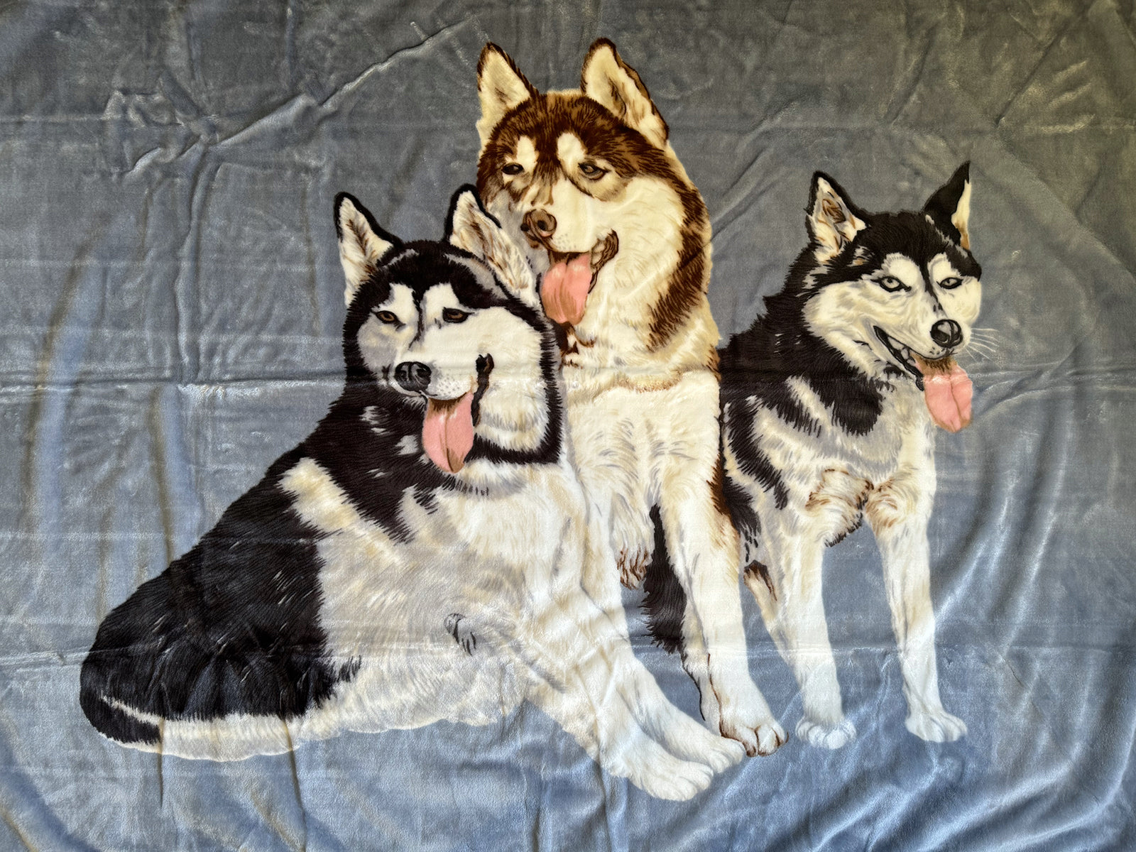 Kuscheldecke Tagesdecke Wohndecke Tiermotiv 3 Huskies blau