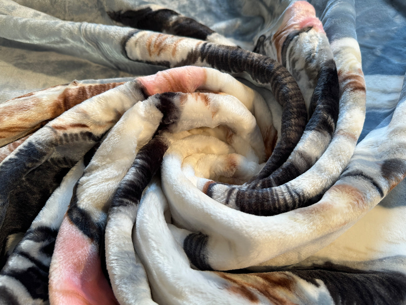 Kuscheldecke Tagesdecke Wohndecke Tiermotiv 3 Huskies blau - 2. Wahl