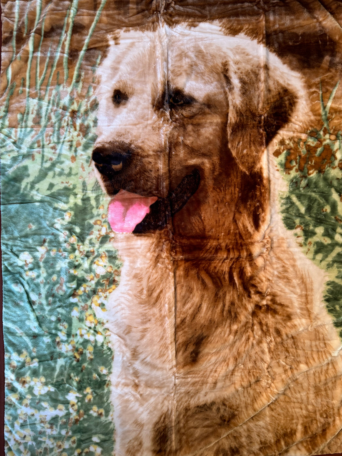 Kuscheldecke Tagesdecke Wohndecke Tiermotiv Hunde Golden Retriever