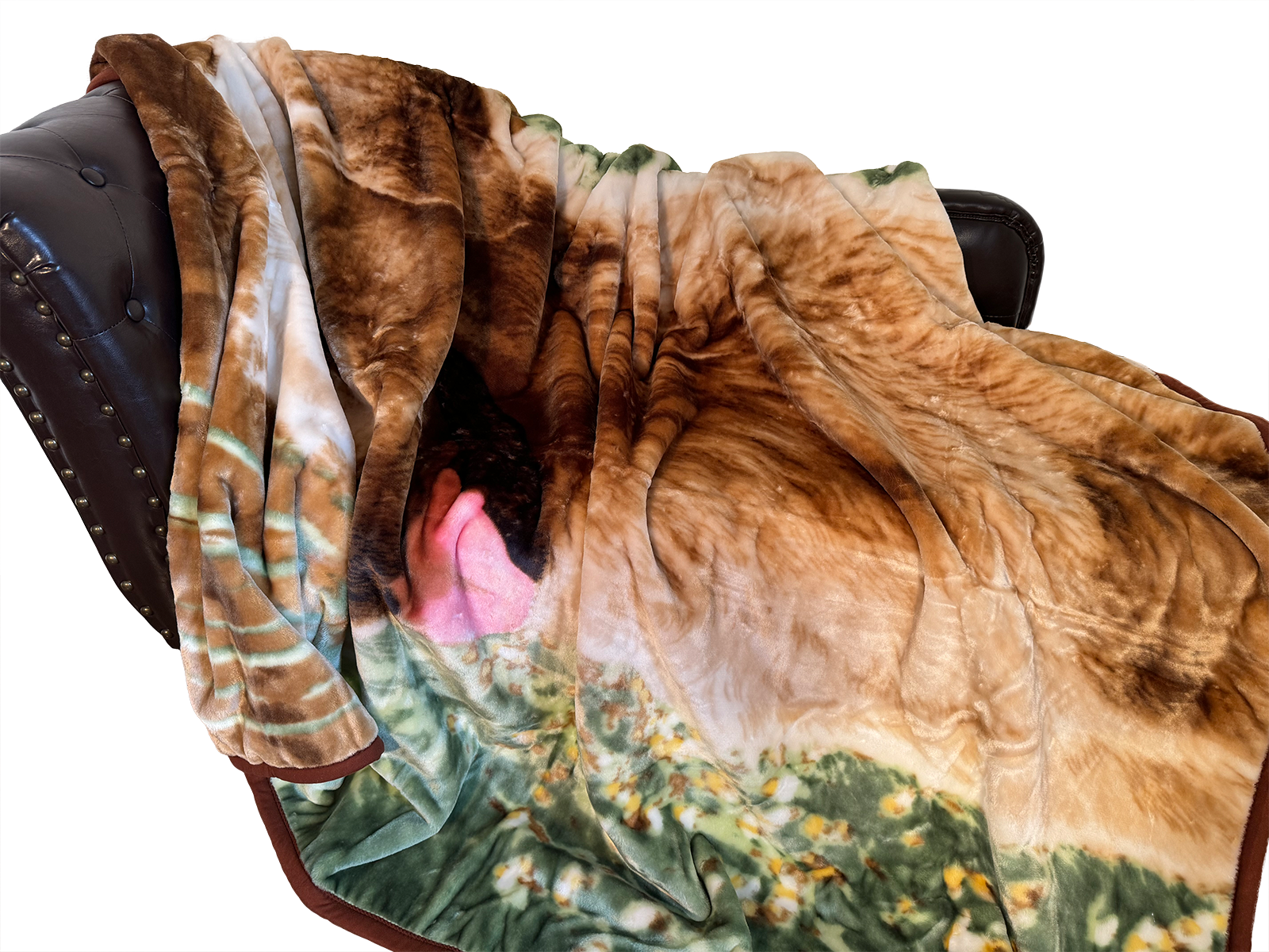 Kuscheldecke Tagesdecke Wohndecke Tiermotiv Hunde Golden Retriever