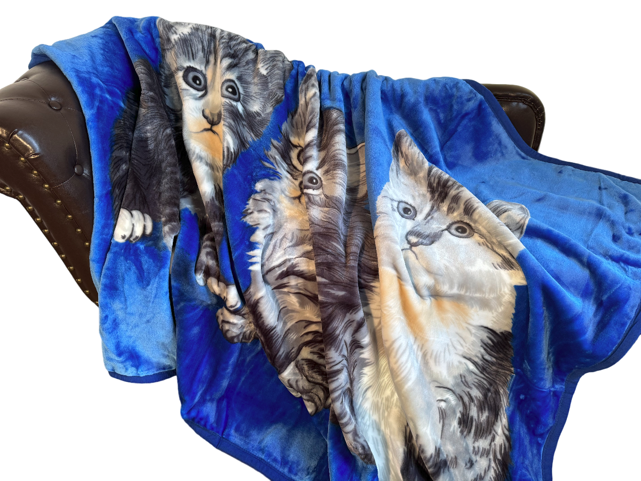Kuscheldecke Tagesdecke Wohndecke Tiermotiv Katzen blau
