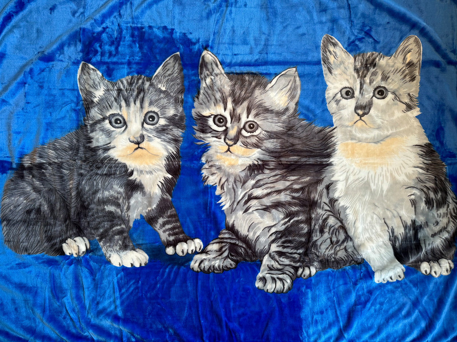 Kuscheldecke Tagesdecke Wohndecke Tiermotiv Katzen blau