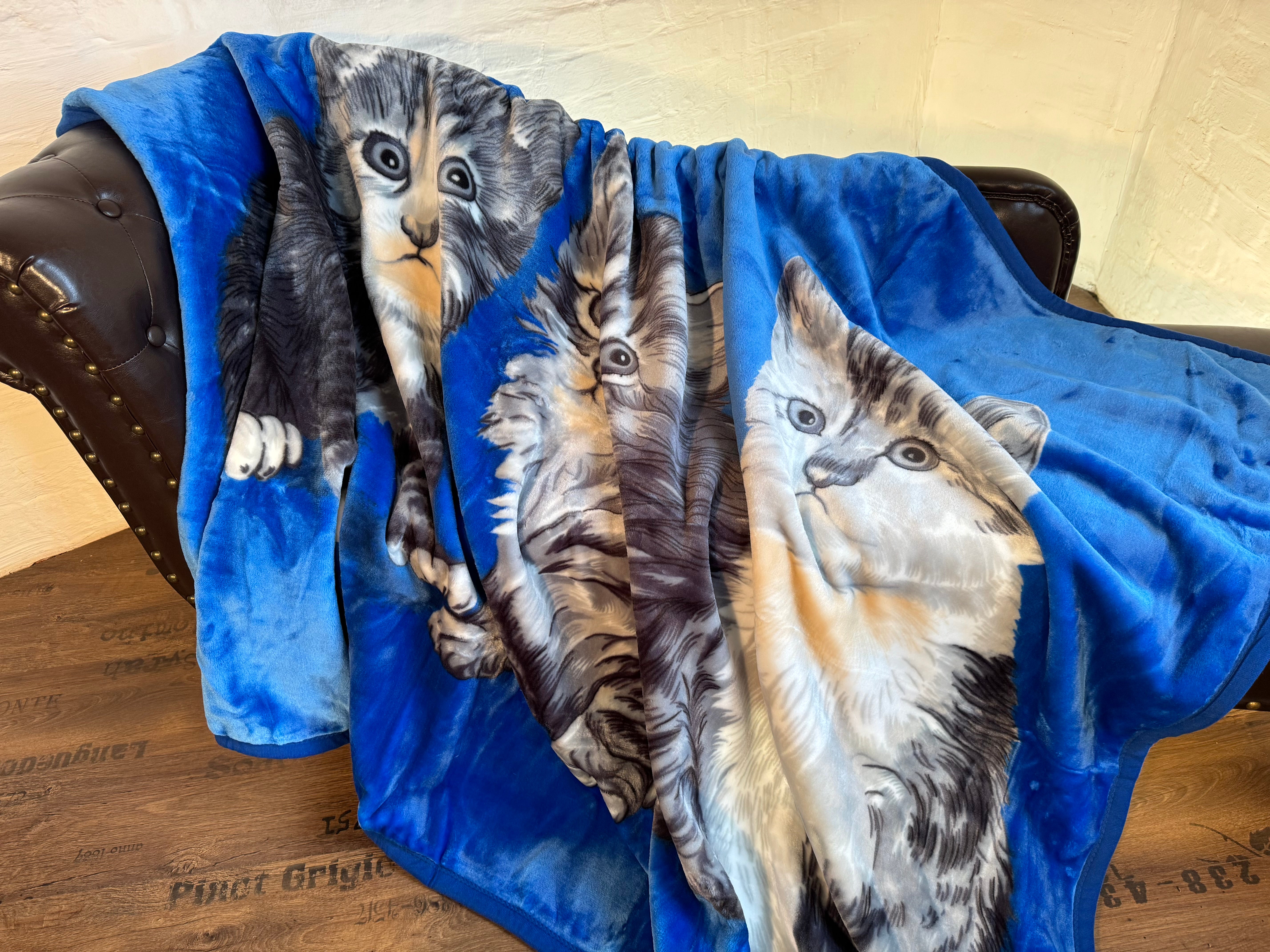 Kuscheldecke Tagesdecke Wohndecke Tiermotiv Katzen blau