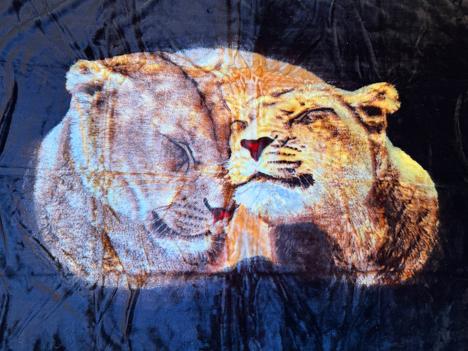 Kuscheldecke Tagesdecke Wohndecke Tiermotiv Löwen