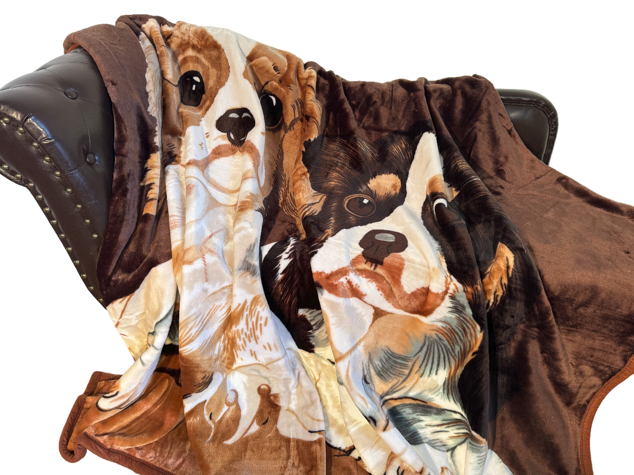 Kuscheldecke Tagesdecke Wohndecke Tiermotiv Hunde Spaniel
