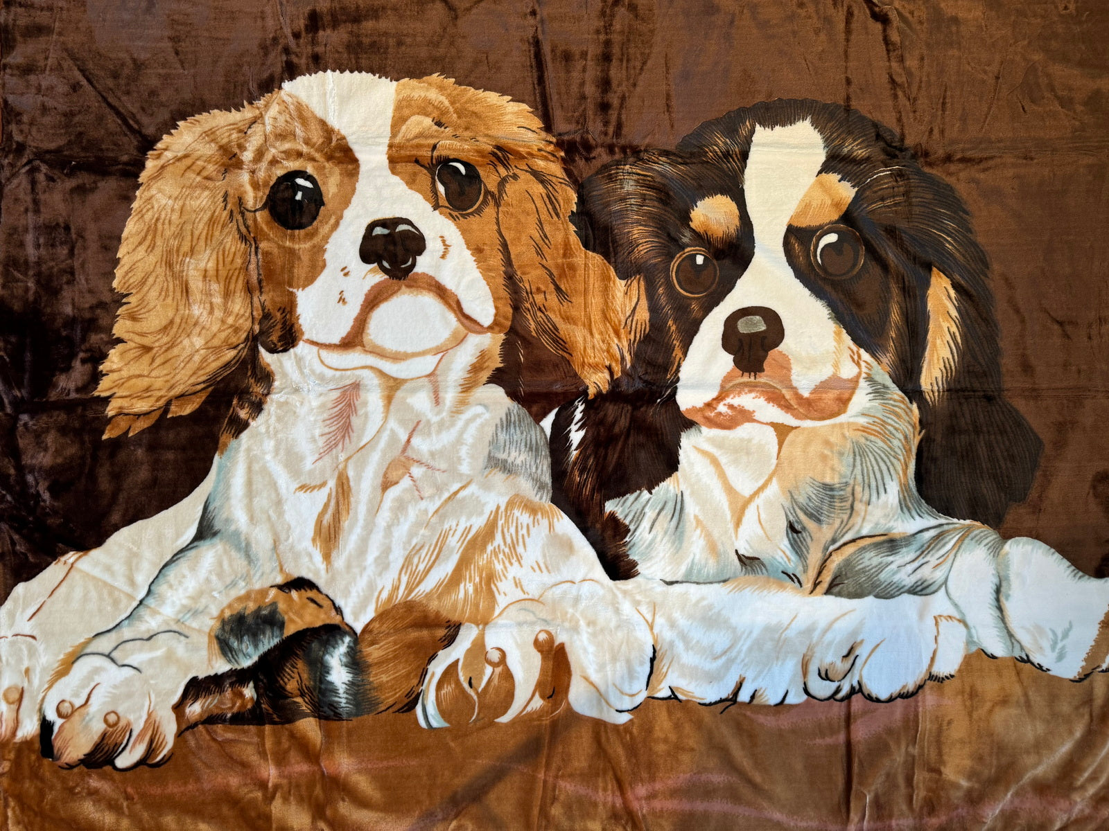 Kuscheldecke Tagesdecke Wohndecke Tiermotiv Hunde Spaniel