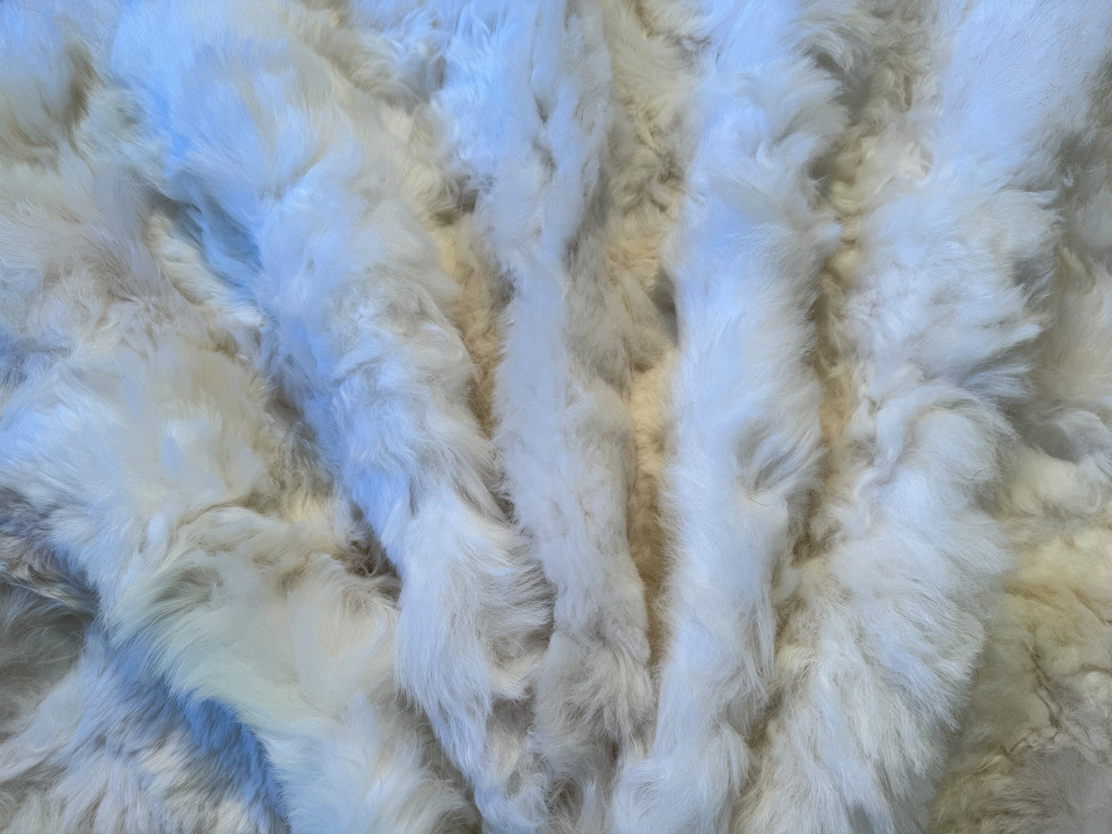 Echter Pelzläufer PL-114 Fellläufer Lammfellläufer 160x60cm weiß