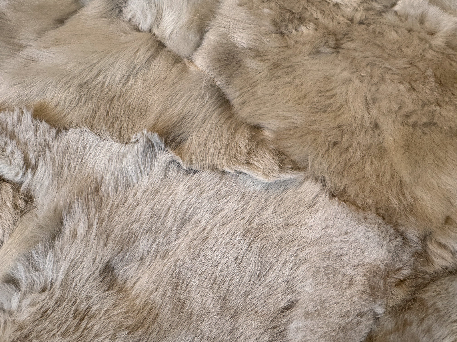 Echter Pelzläufer PL-257 Fellläufer Lammfellläufer 160x60cm creme