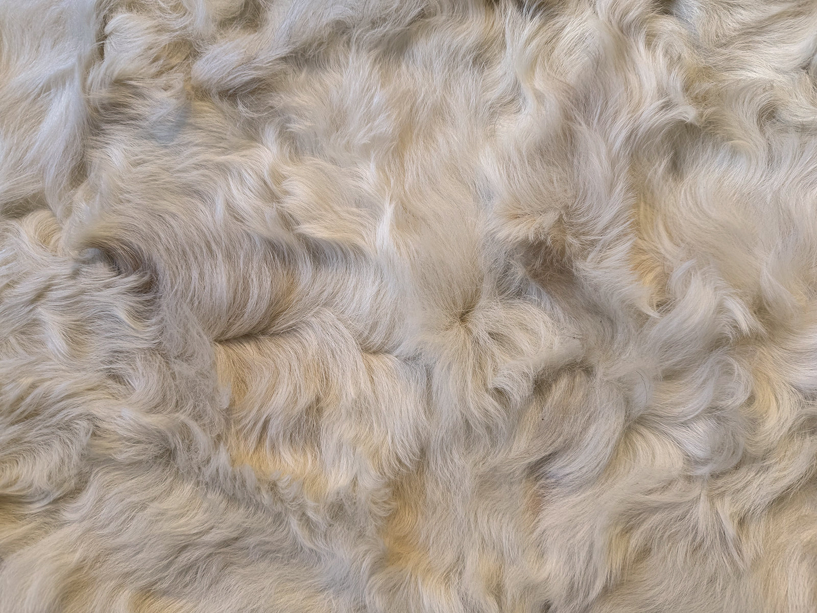 Echter Pelzläufer PL-270 Fellläufer Lammfellläufer 160x60cm wollweiß