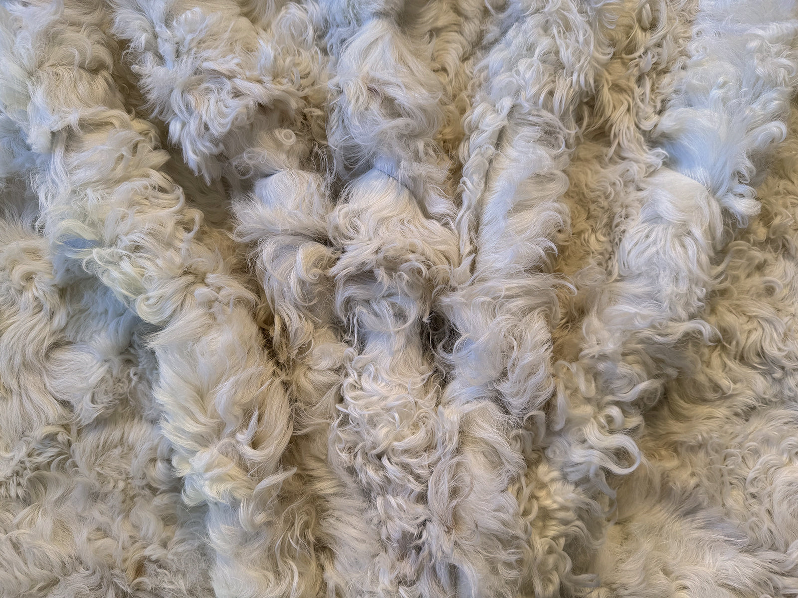 Echter Pelzläufer PL-271 Fellläufer Lammfellläufer 160x60cm wollweiß