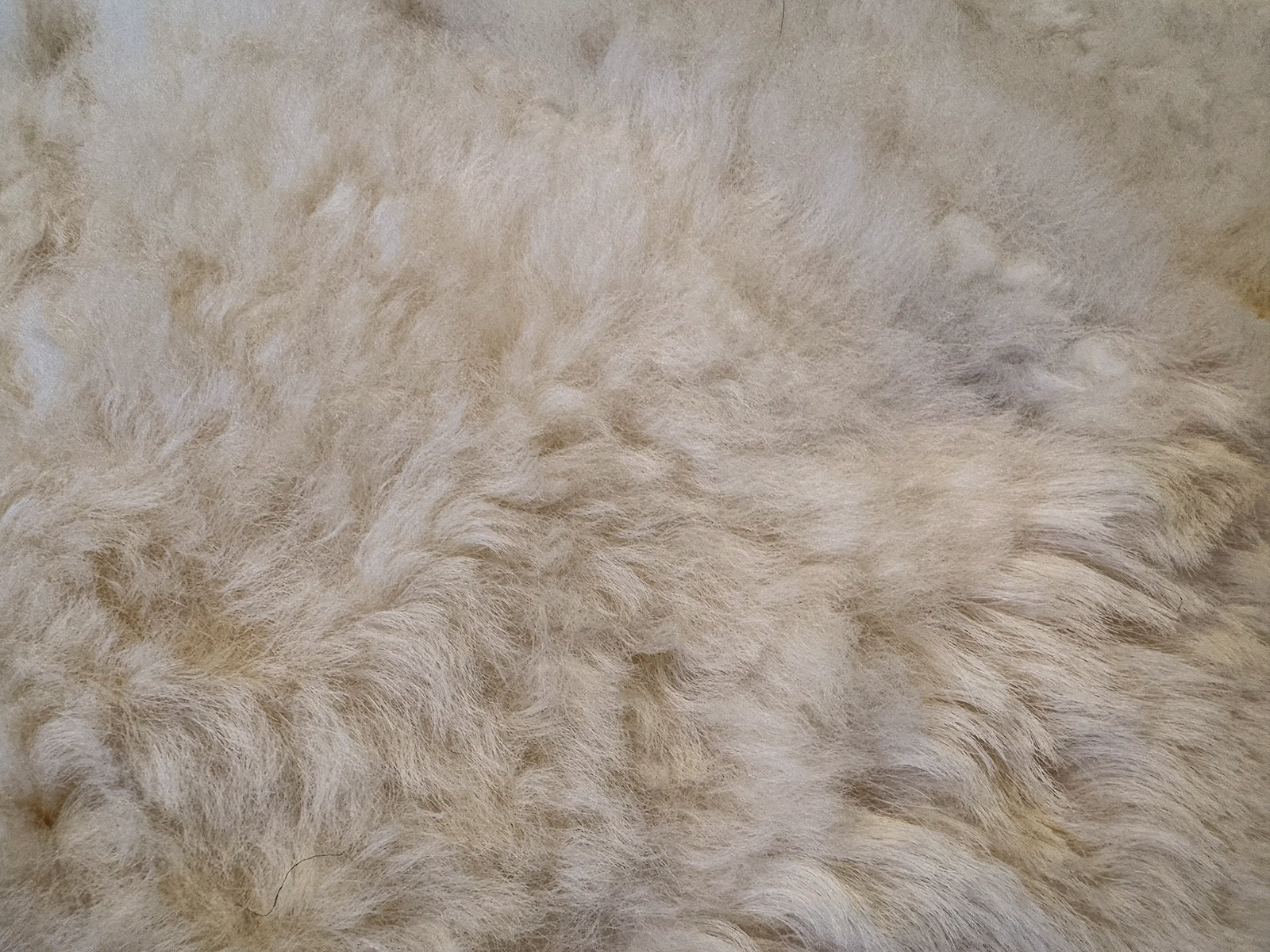 Echter Pelzläufer PL-275 Fellläufer Lammfellläufer 160x60cm creme weiß