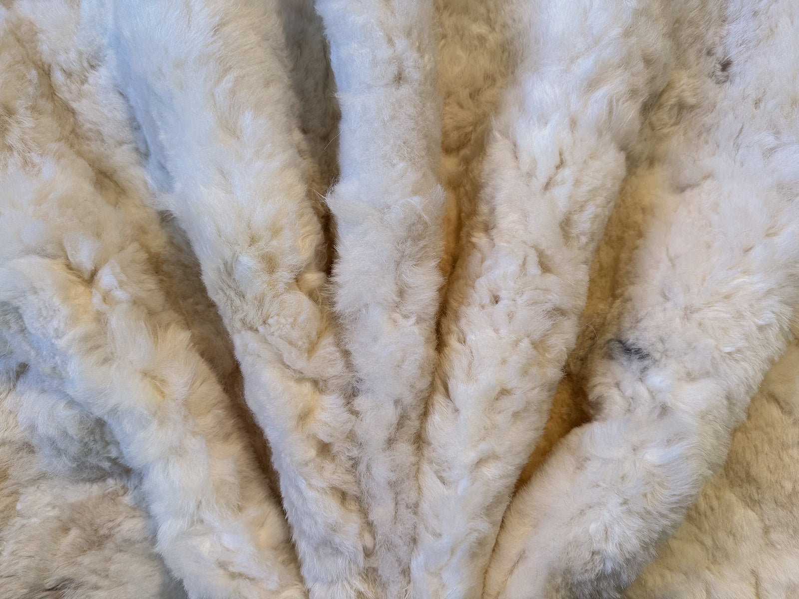 Echter Pelzläufer PL-275 Fellläufer Lammfellläufer 160x60cm creme weiß