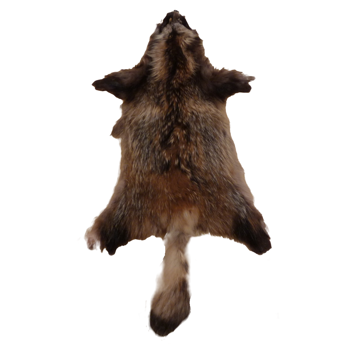 Echtes Marderhundfell Wildfell Fell vom Marderhund