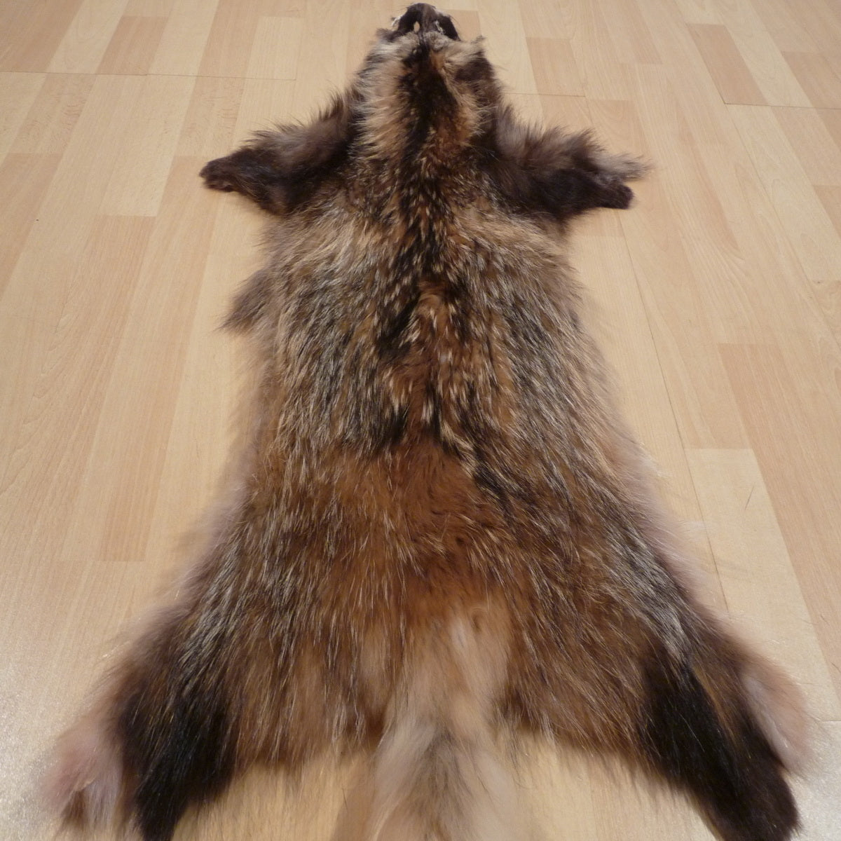 Echtes Marderhundfell Wildfell Fell vom Marderhund