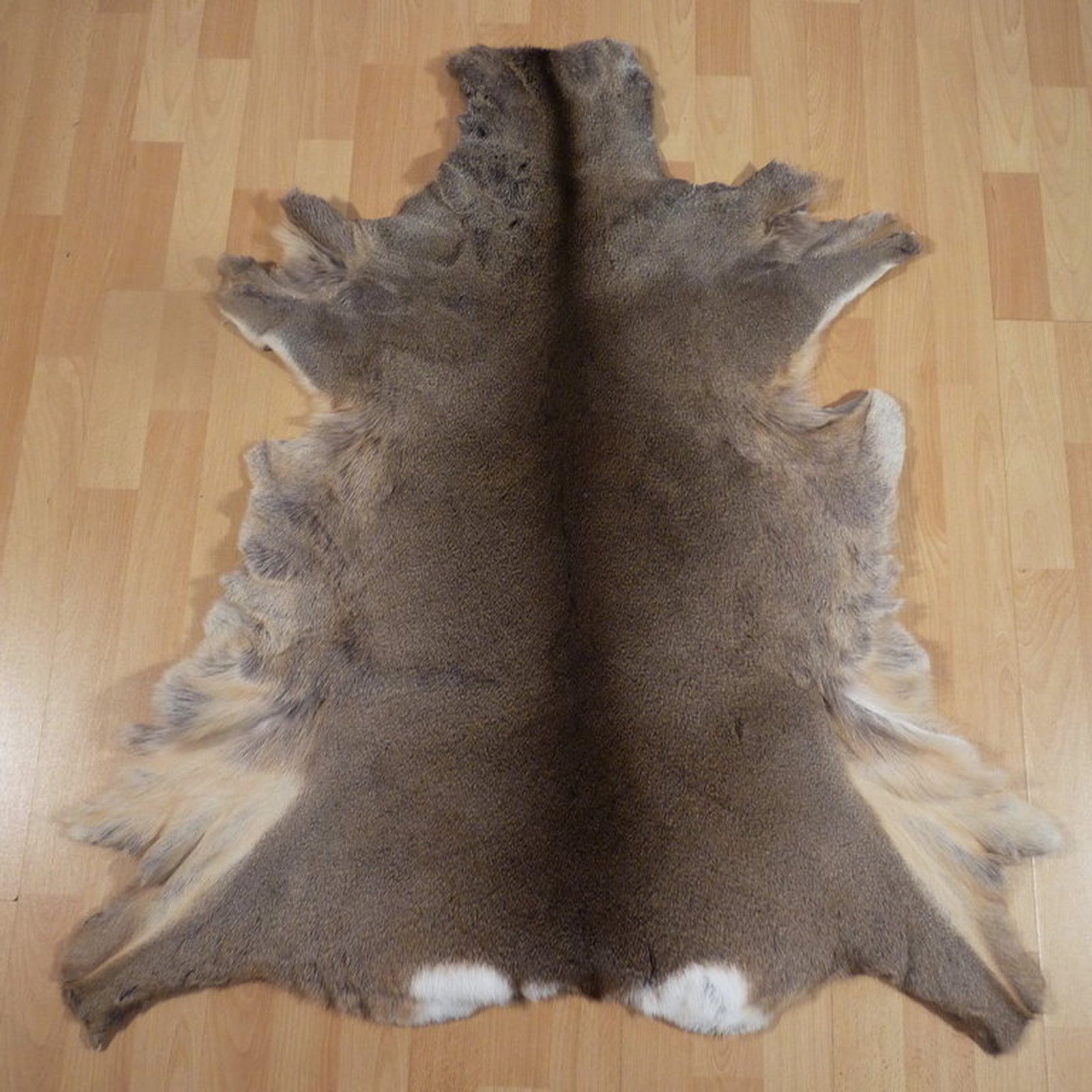 Echtes Rehfell Wildfell Fell vom europäischen Reh