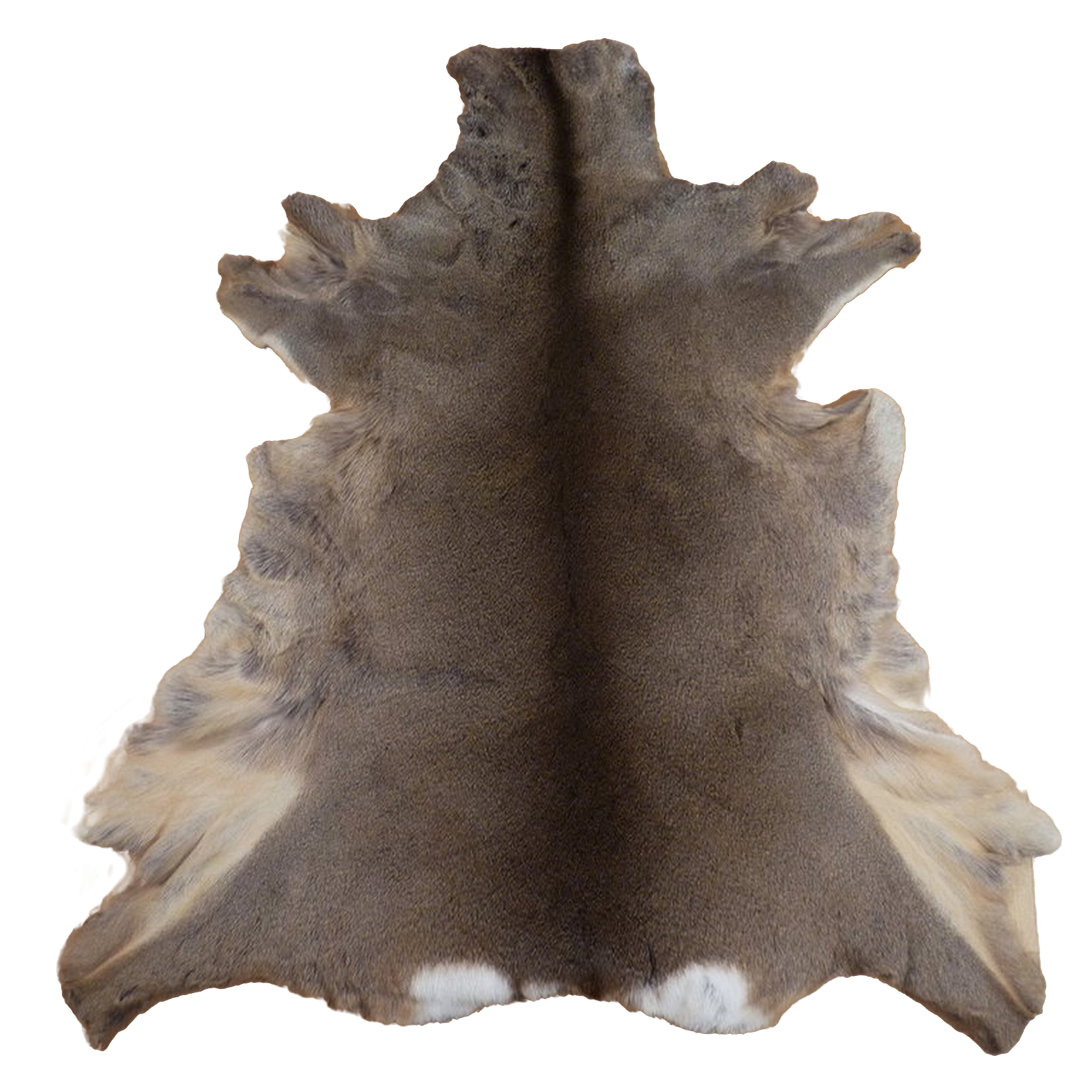 Echtes Rehfell Wildfell Fell vom europäischen Reh