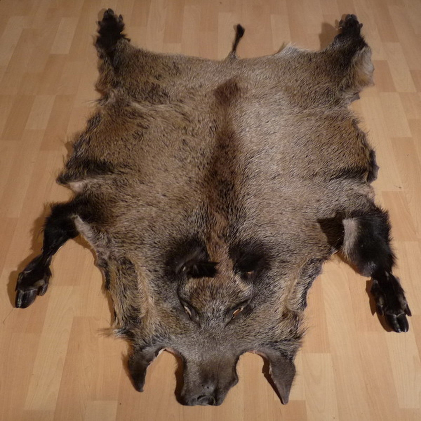 Echtes Wildschweinfell Wildfell Fell vom Schwarzwild