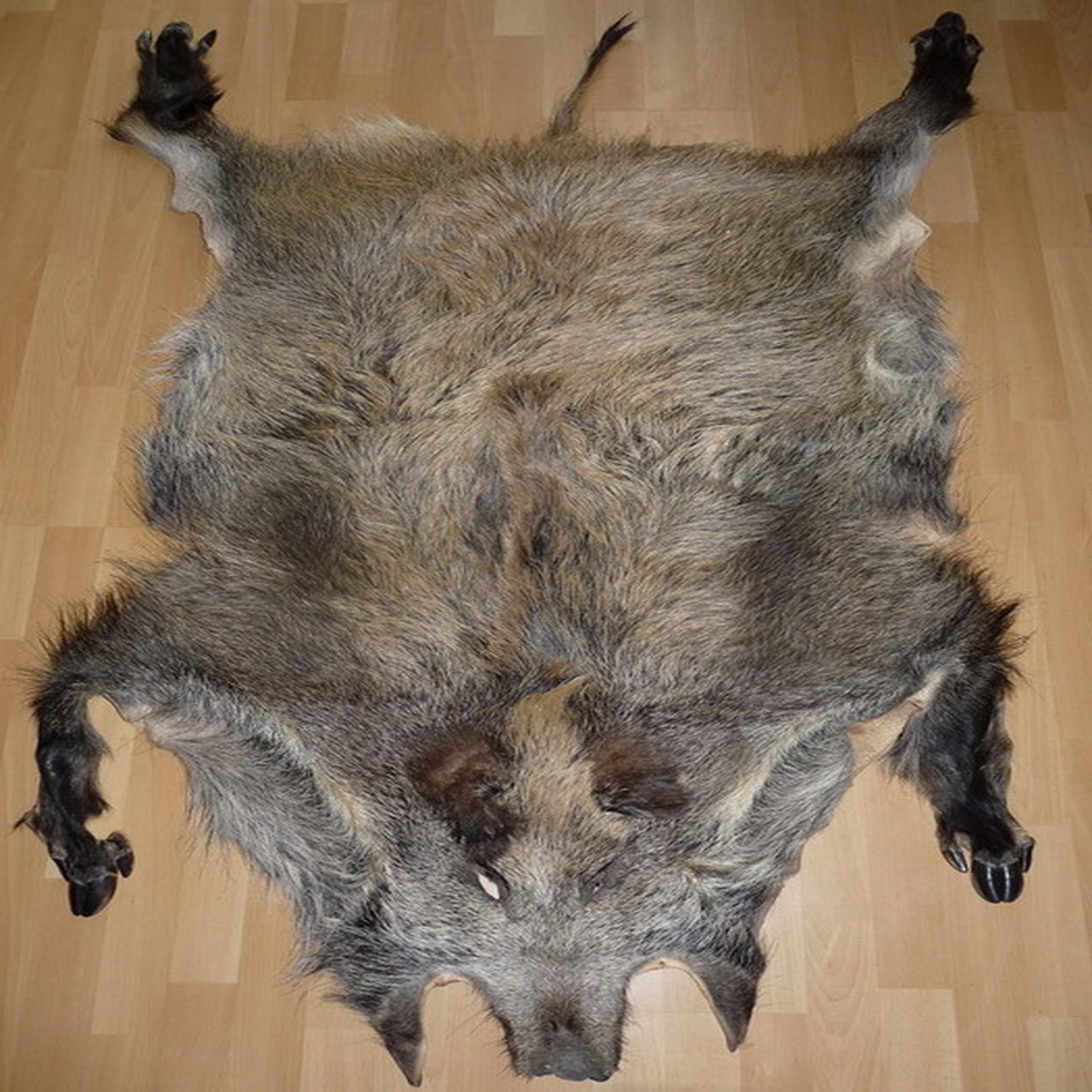 Echtes Wildschweinfell Wildfell Fell vom Schwarzwild