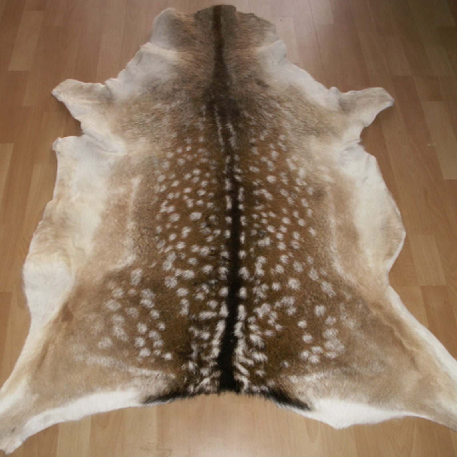 Echtes Damwildfell Wildfell Fell vom Damwild