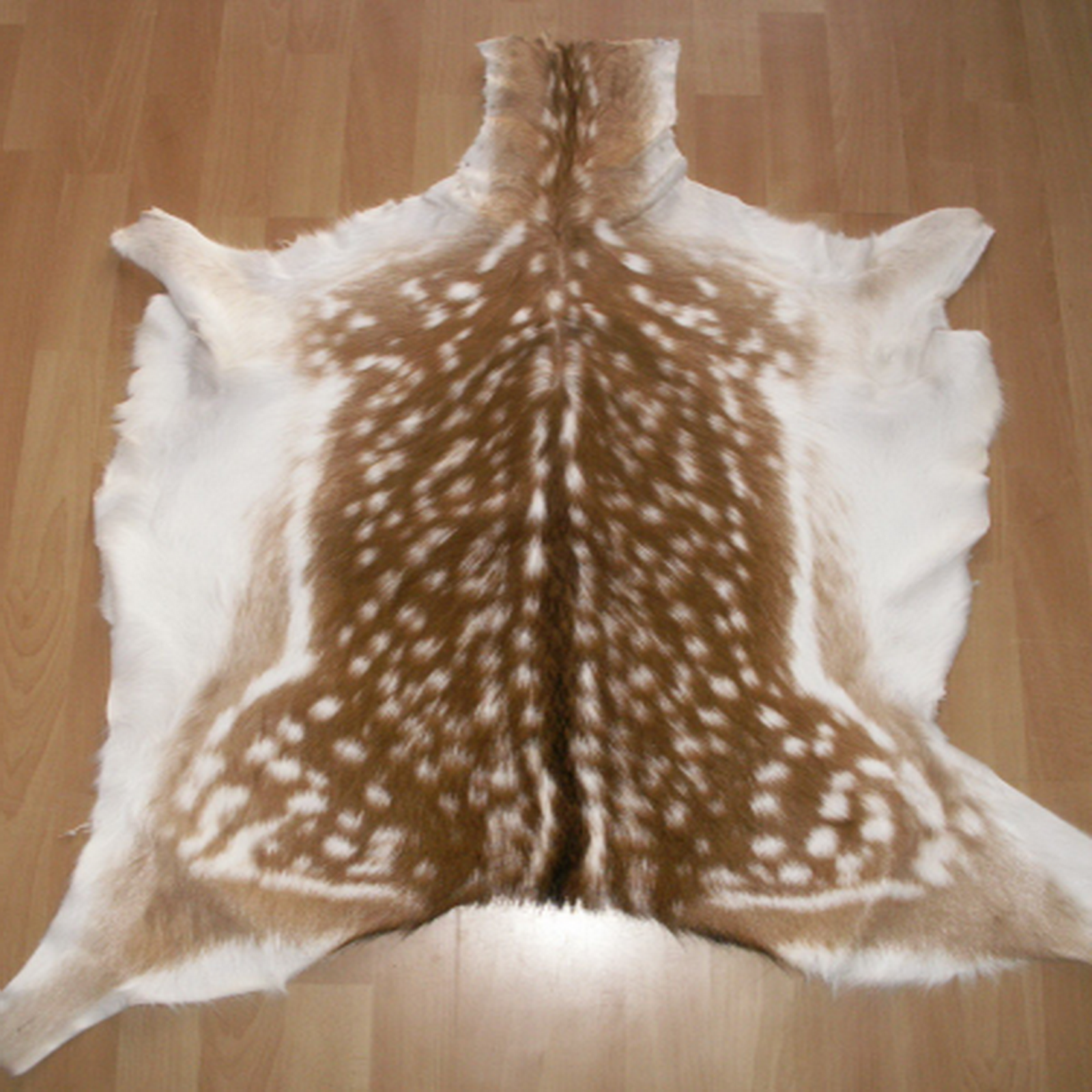 Echtes Damwildfell Wildfell Fell vom Damwild