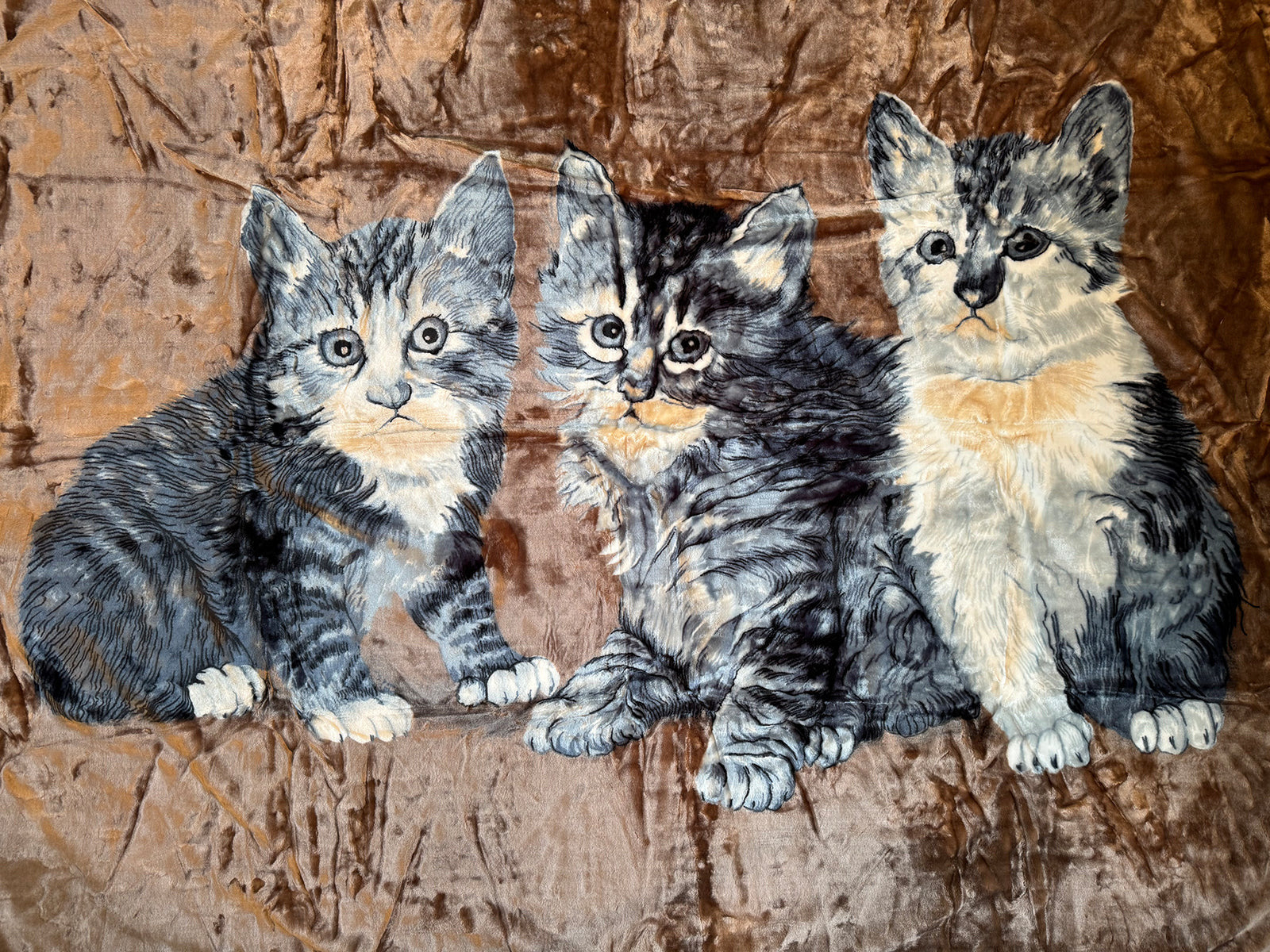 Kuscheldecke Tagesdecke Wohndecke Tiermotiv Katzen grau braun