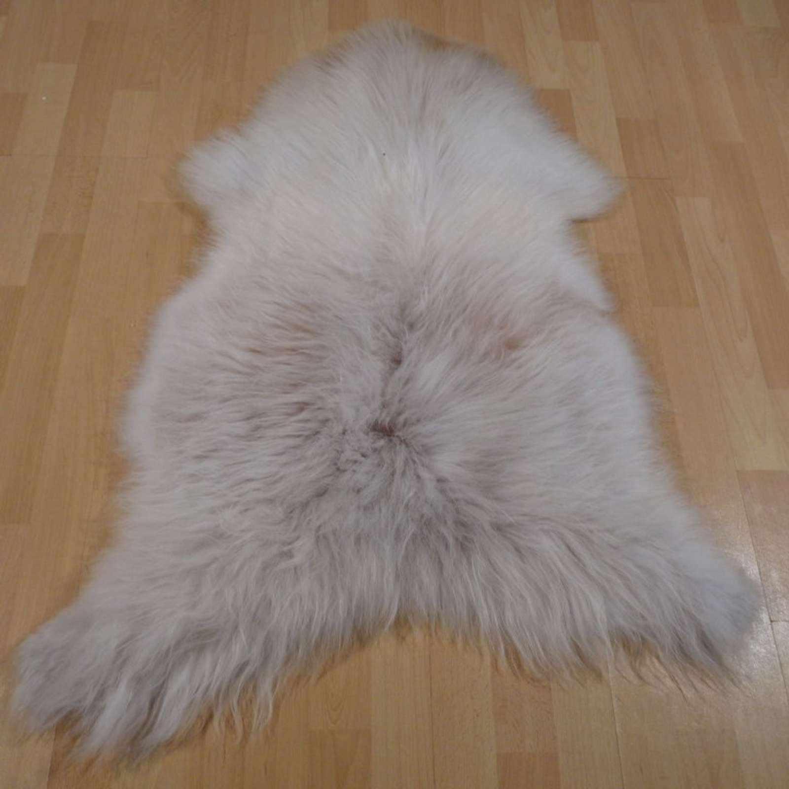 Exklusives Unikat Islandschaffell weiß - beige 110x80cm #10148