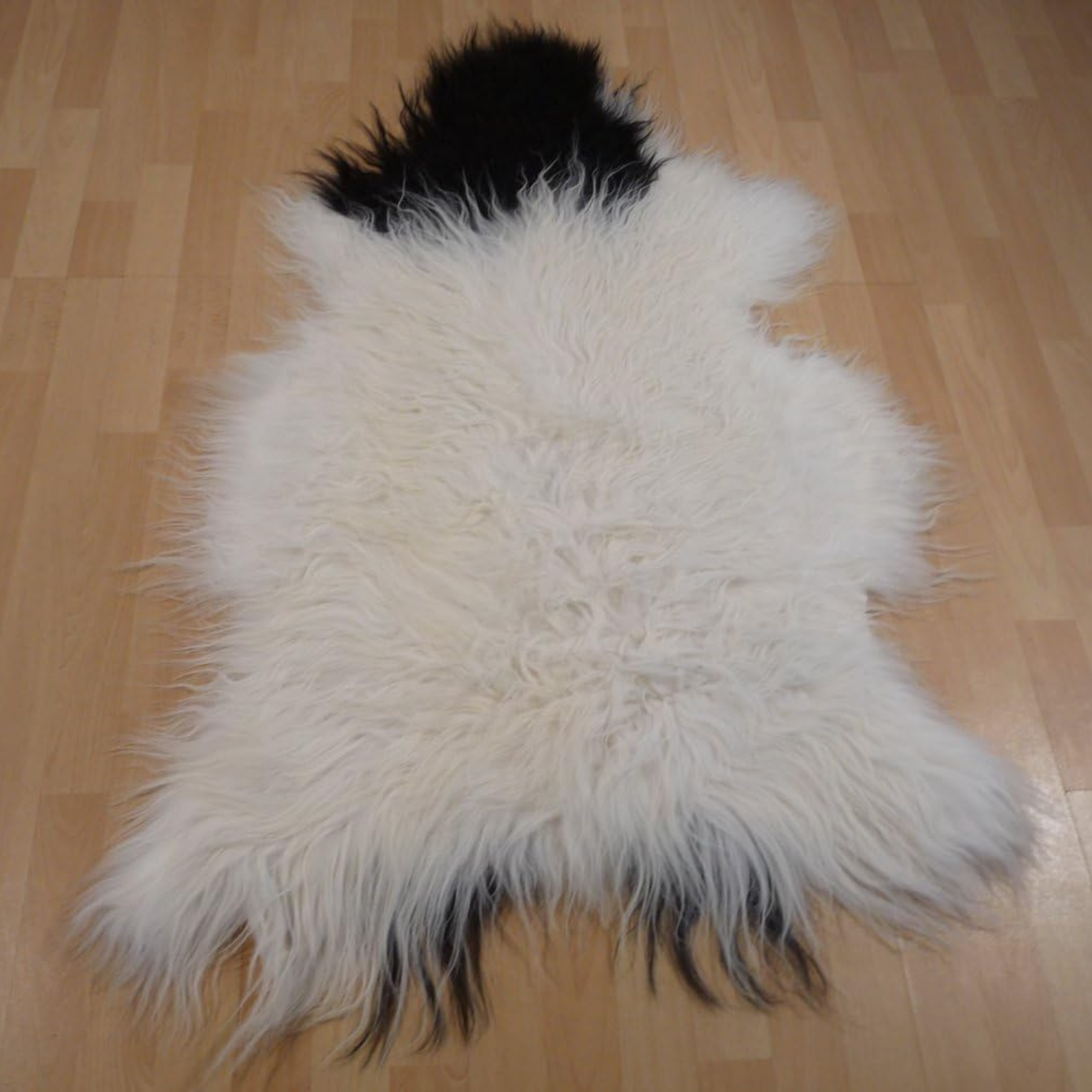 Exklusives Unikat Islandschaffell weiß - schwarz 125x90cm #10513