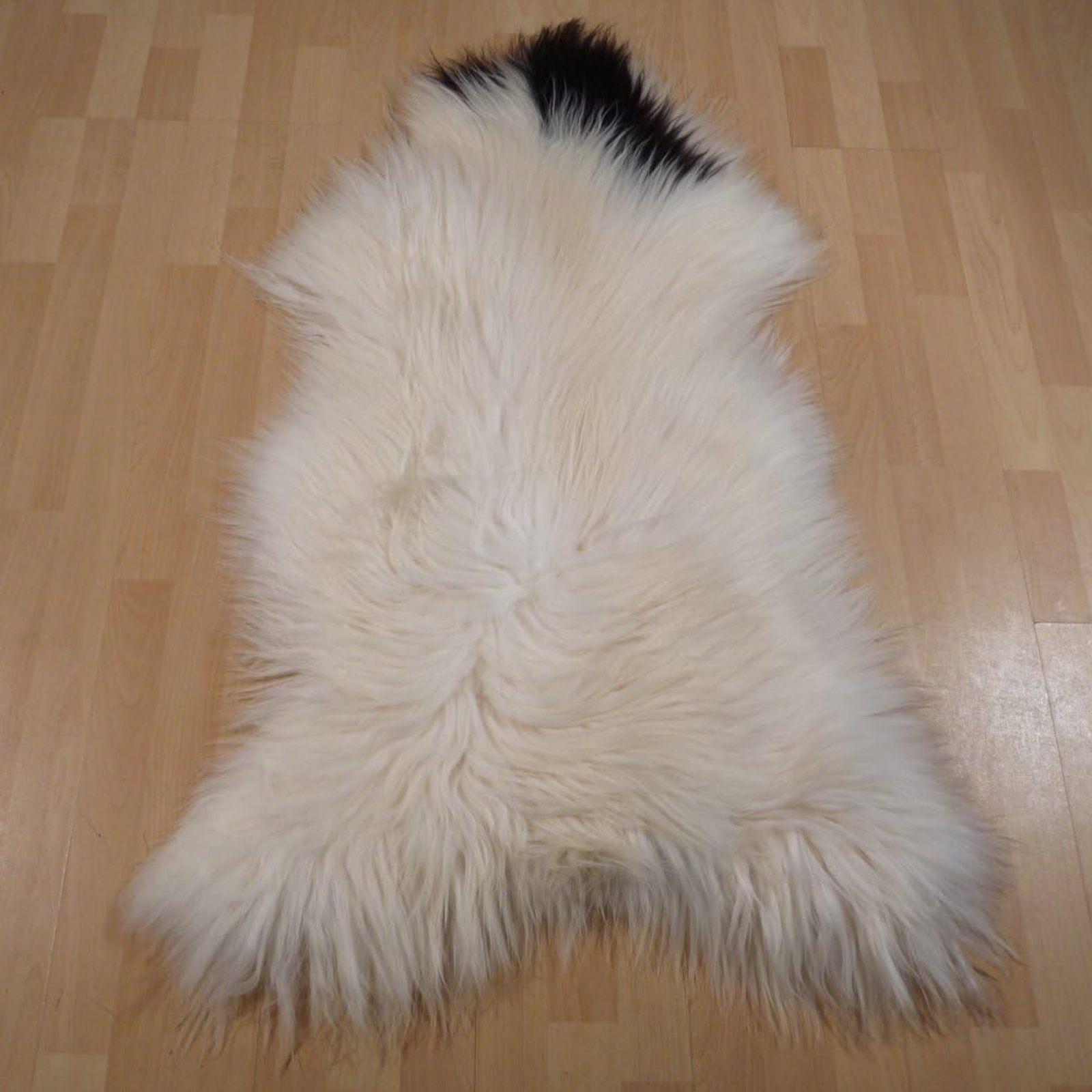 Exklusives Unikat Islandschaffell weiß - schwarz 120x80cm #10811