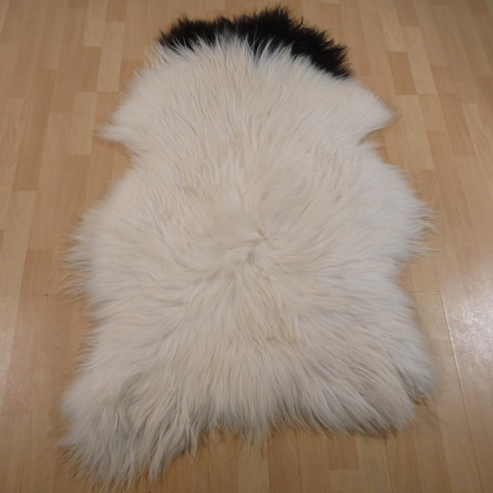 Exklusives Unikat Islandschaffell weiß - schwarz 130x90cm #11285