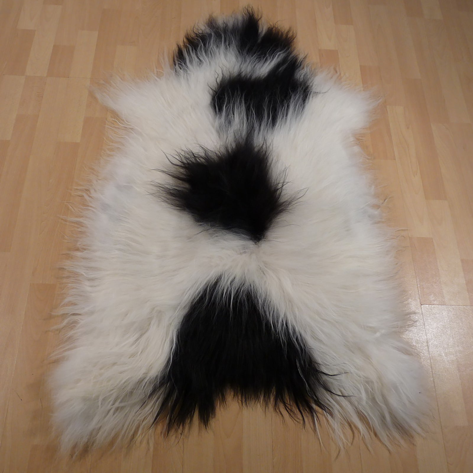 Exklusives Unikat Islandschaffell weiß - schwarz 120x85cm #11546
