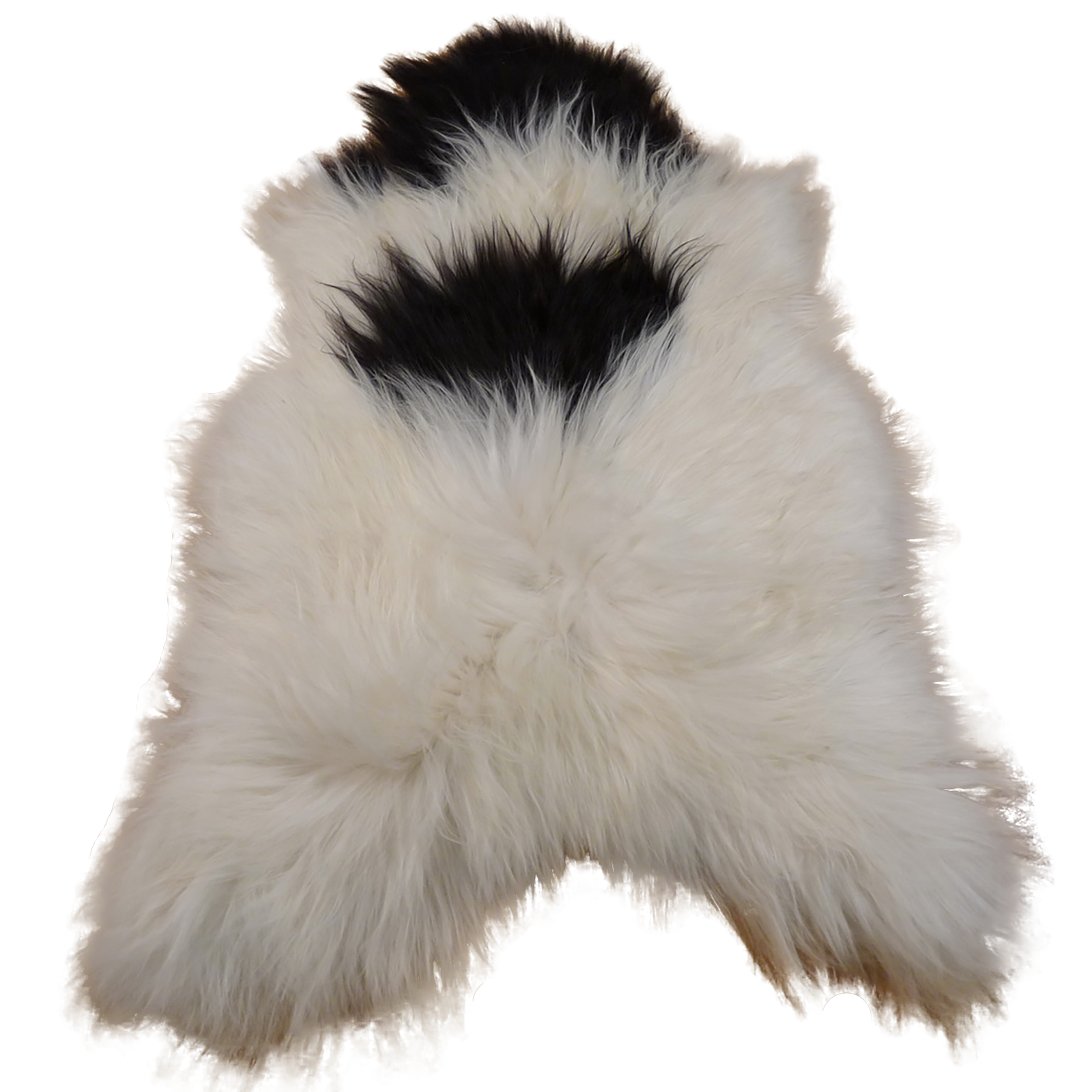 Exklusives Unikat Islandschaffell weiß - schwarz 120x85cm #11554