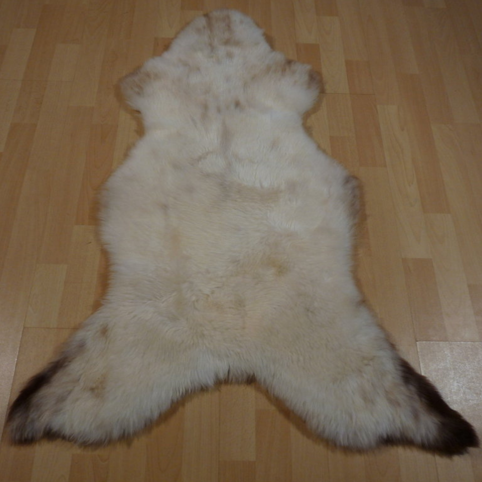 Exklusives Unikat Lammfell weiß - braun 115x80cm #11910